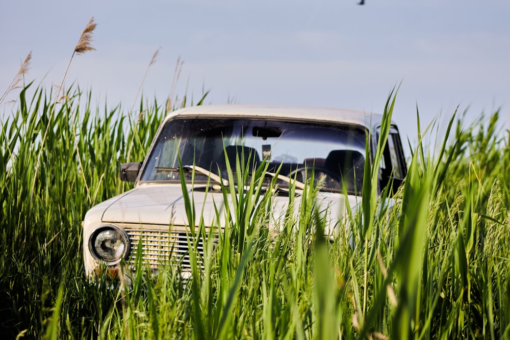 an old truck sitting in a field of tall grass