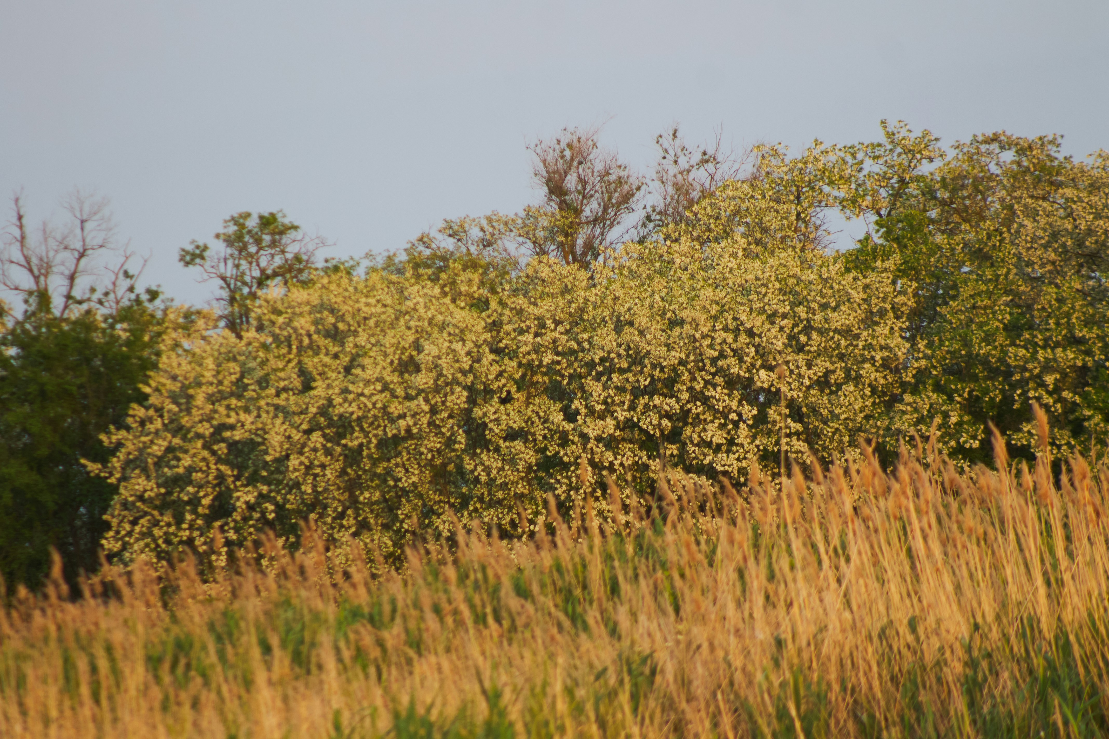 Photo by stabelwebel