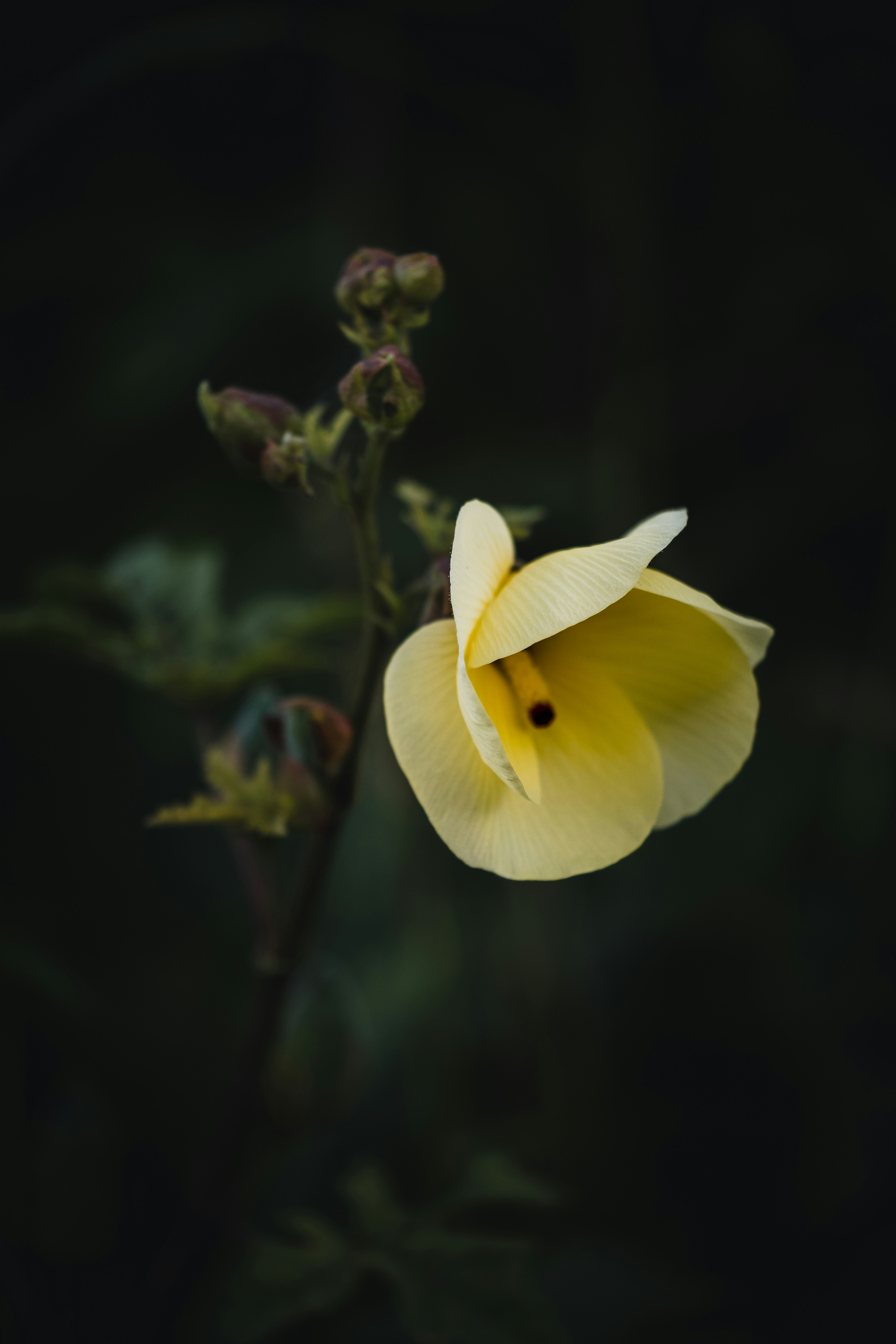 Photo by abhijit_sinha