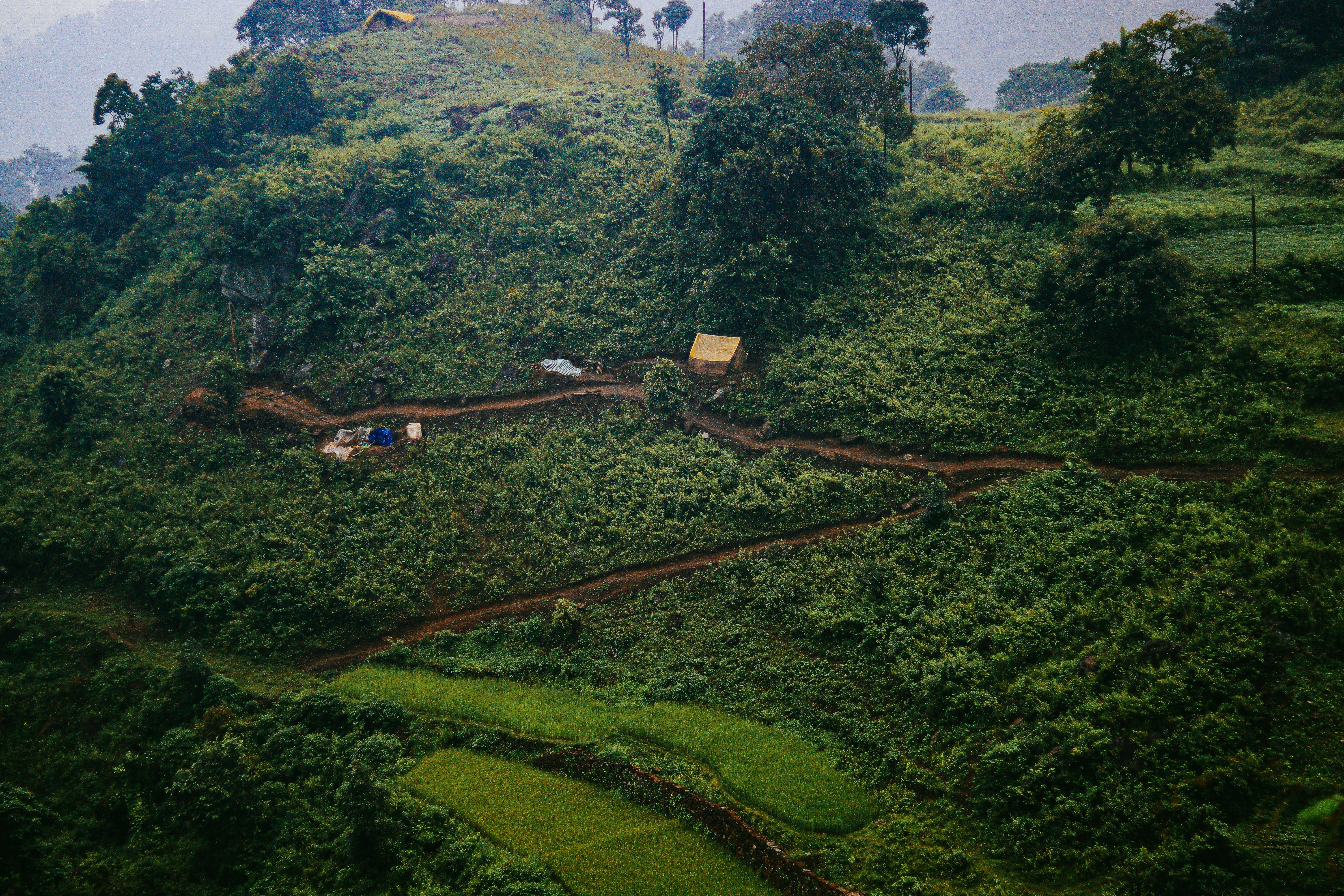 Photo by udayagastya77