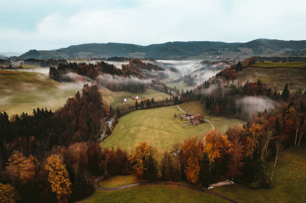 an aerial view of a farm surrounded by trees