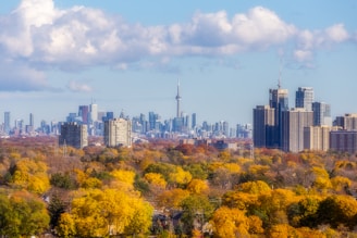 a view of a city from a hill in autumn