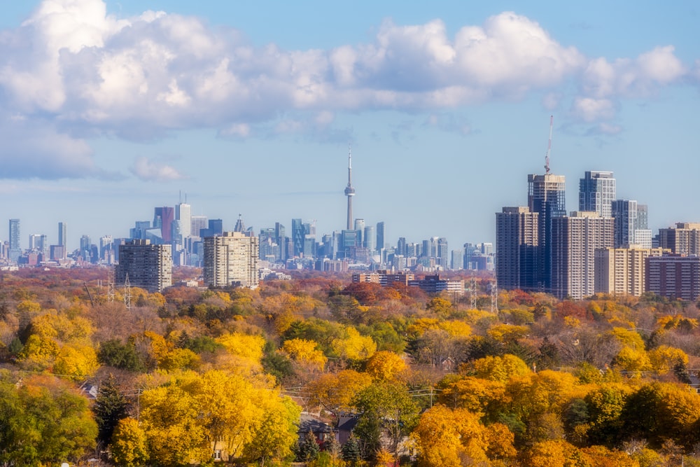 a view of a city from a hill in autumn