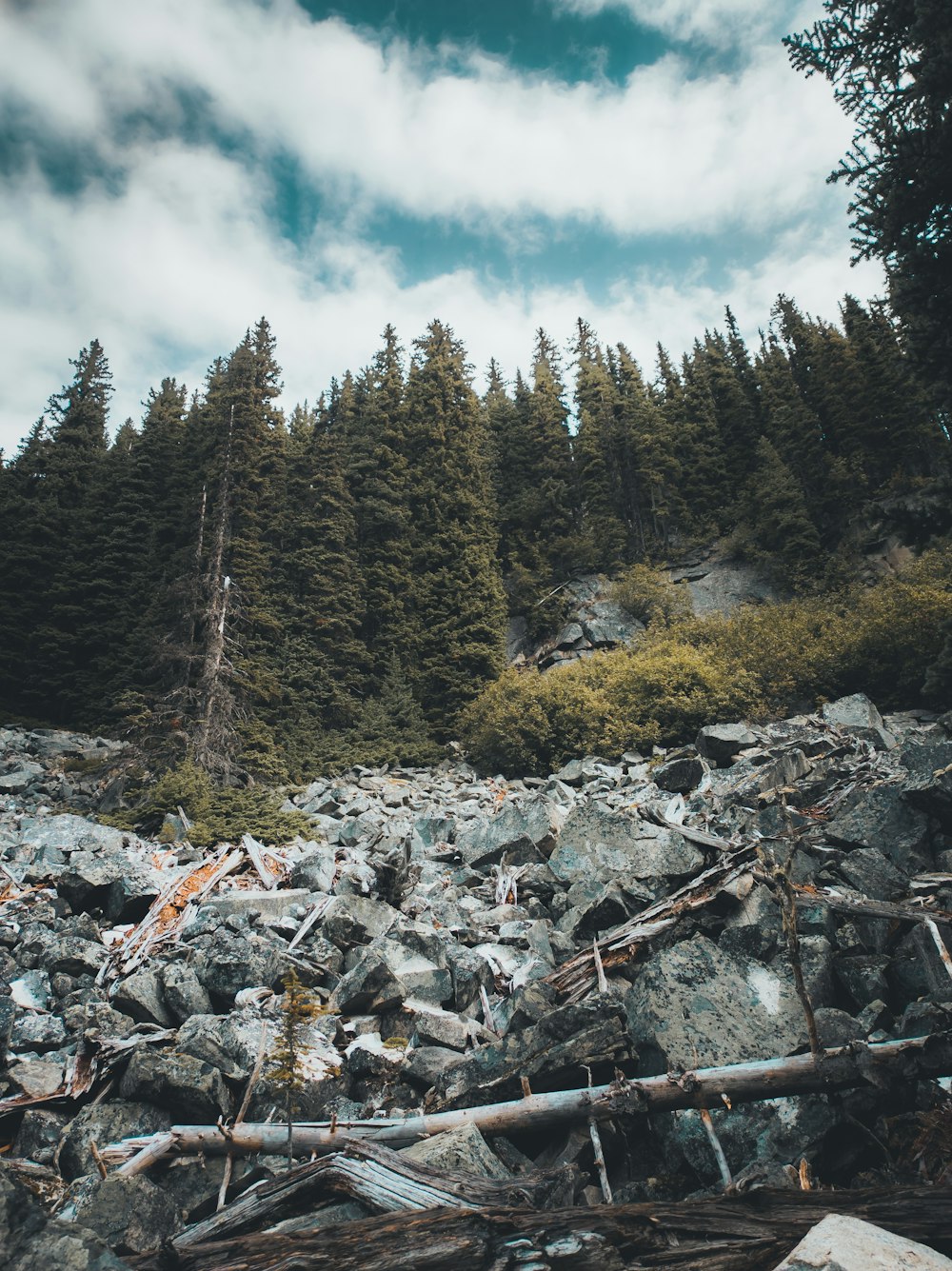 a pile of rocks with trees in the background