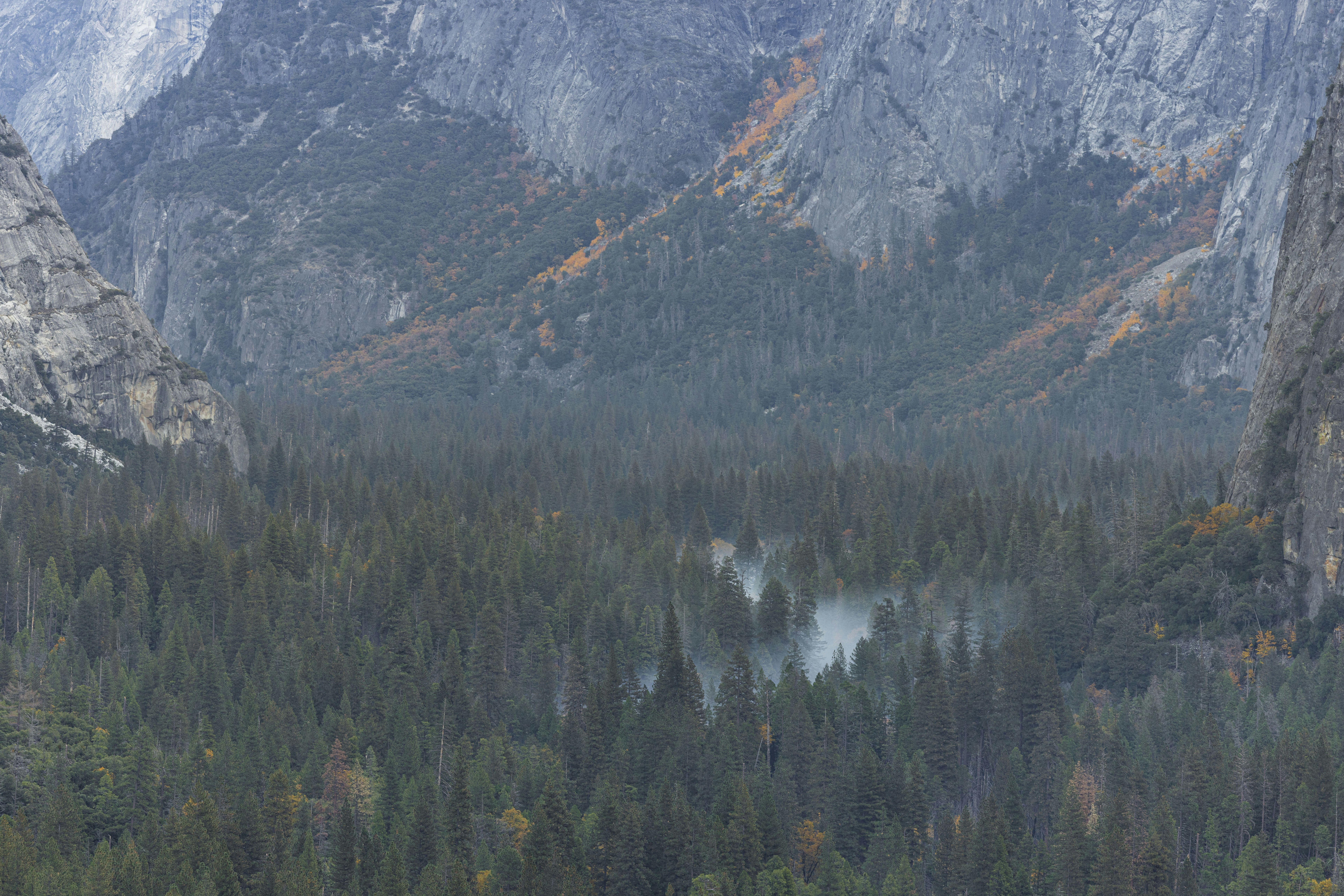 Photo by leo_visions_