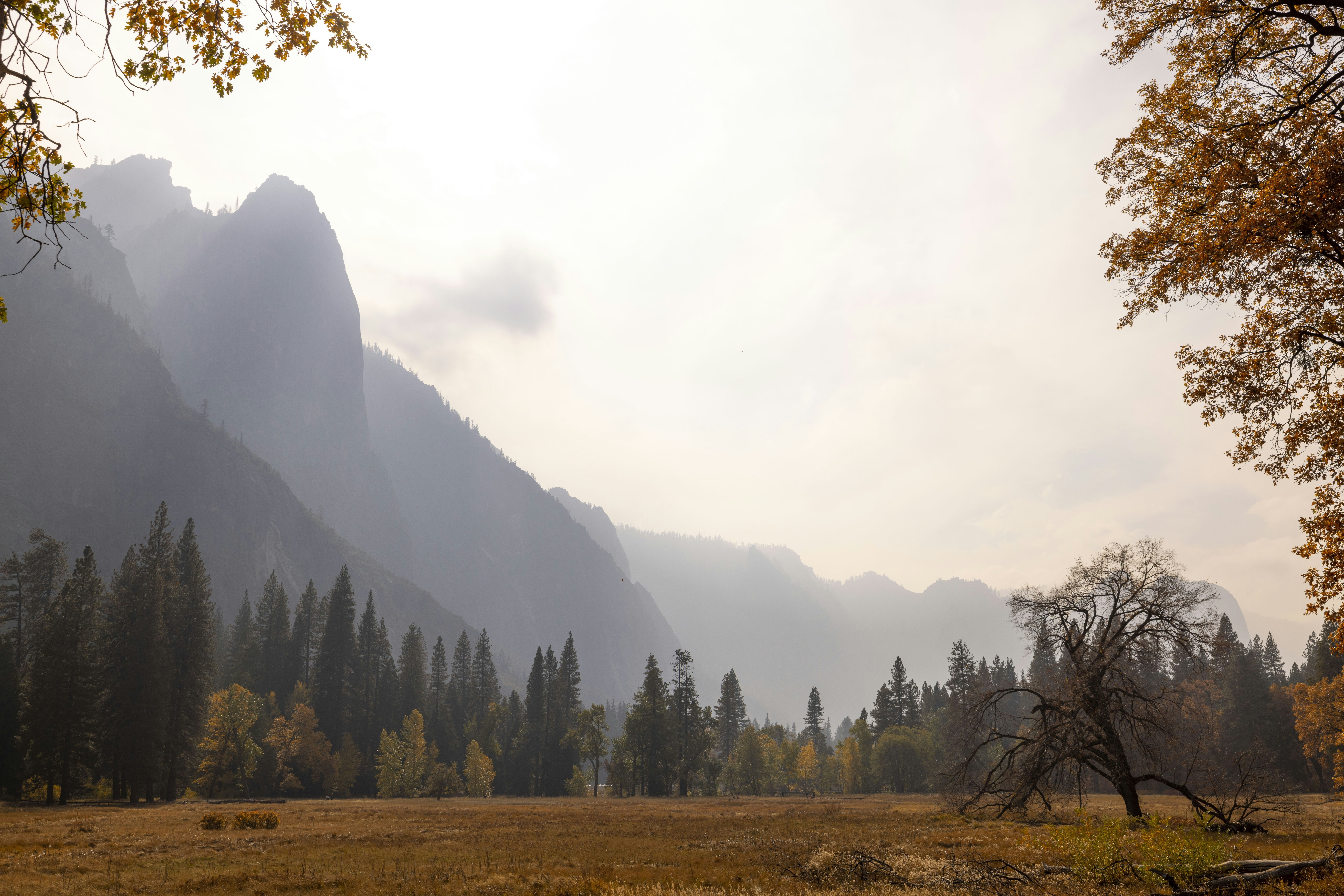 Photo by leo_visions_