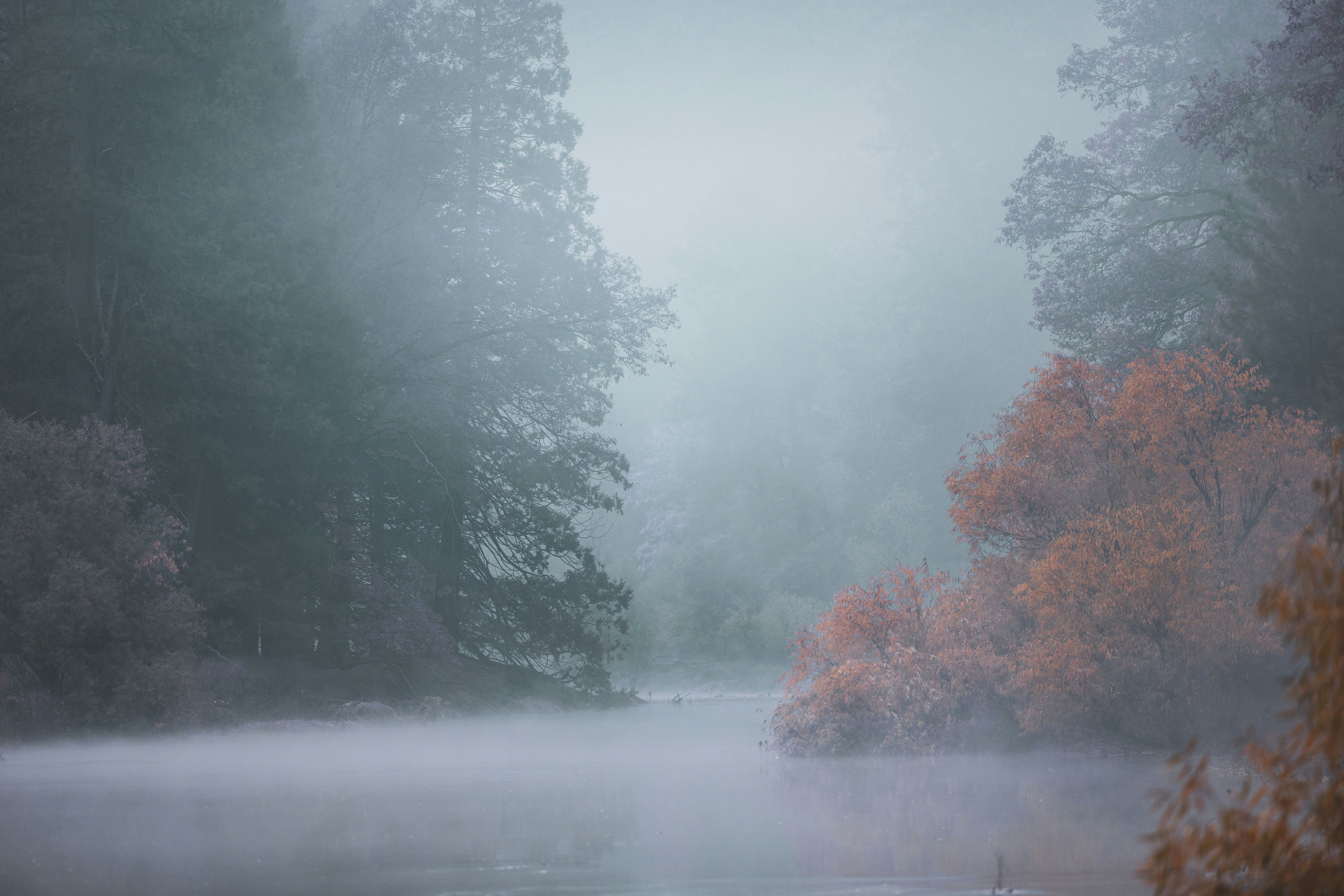 Photo by leo_visions_