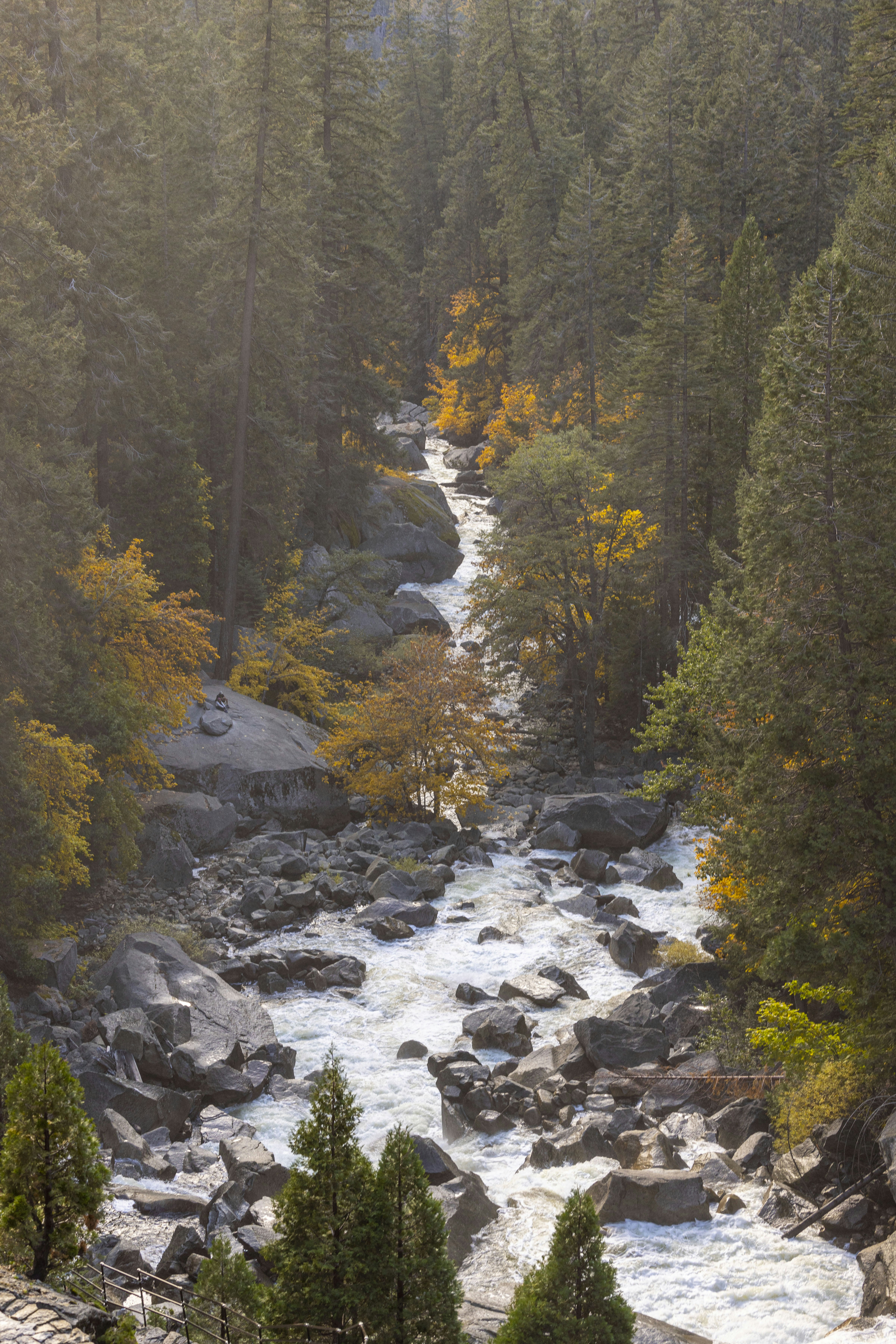 Photo by leo_visions_