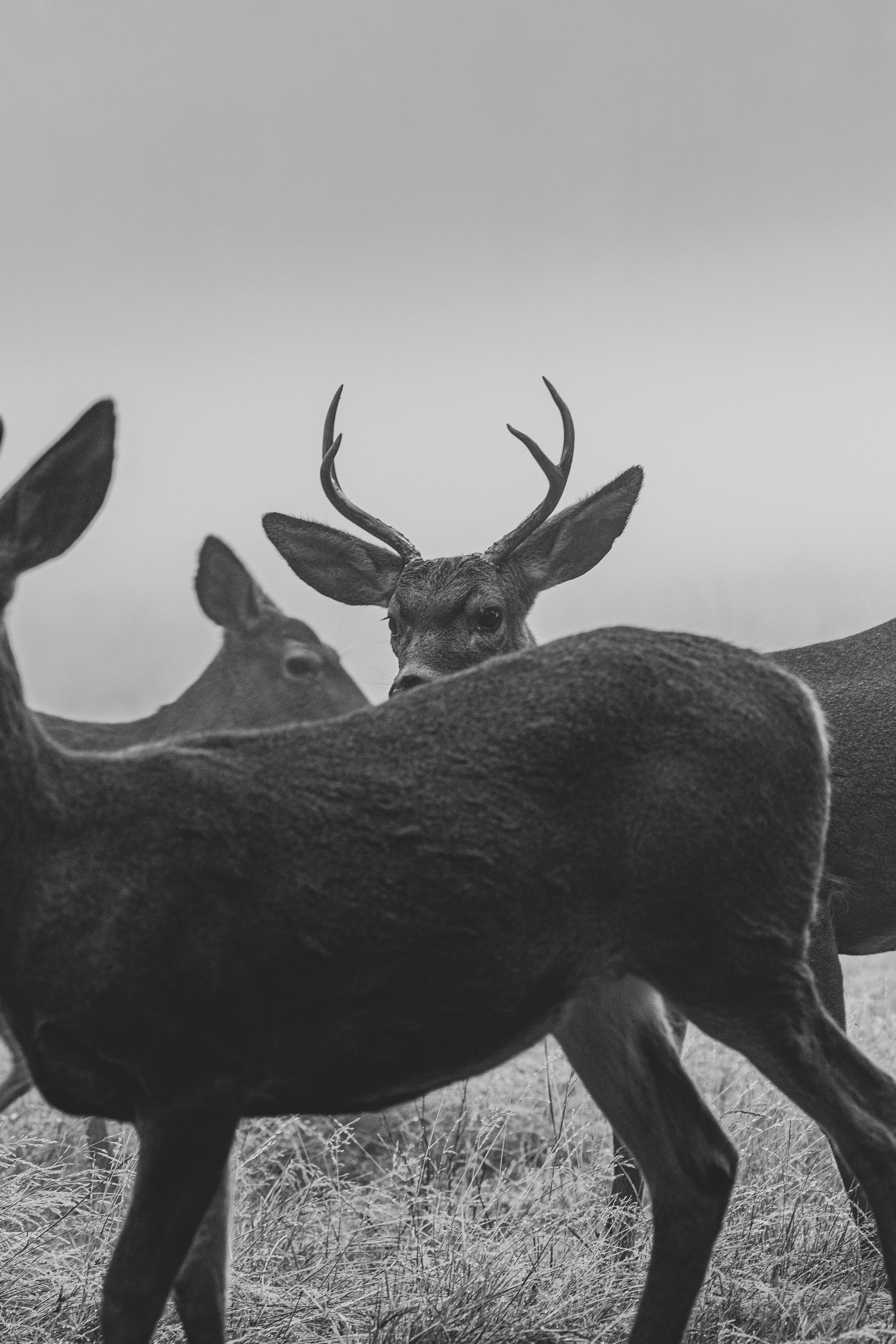 Photo by leo_visions_