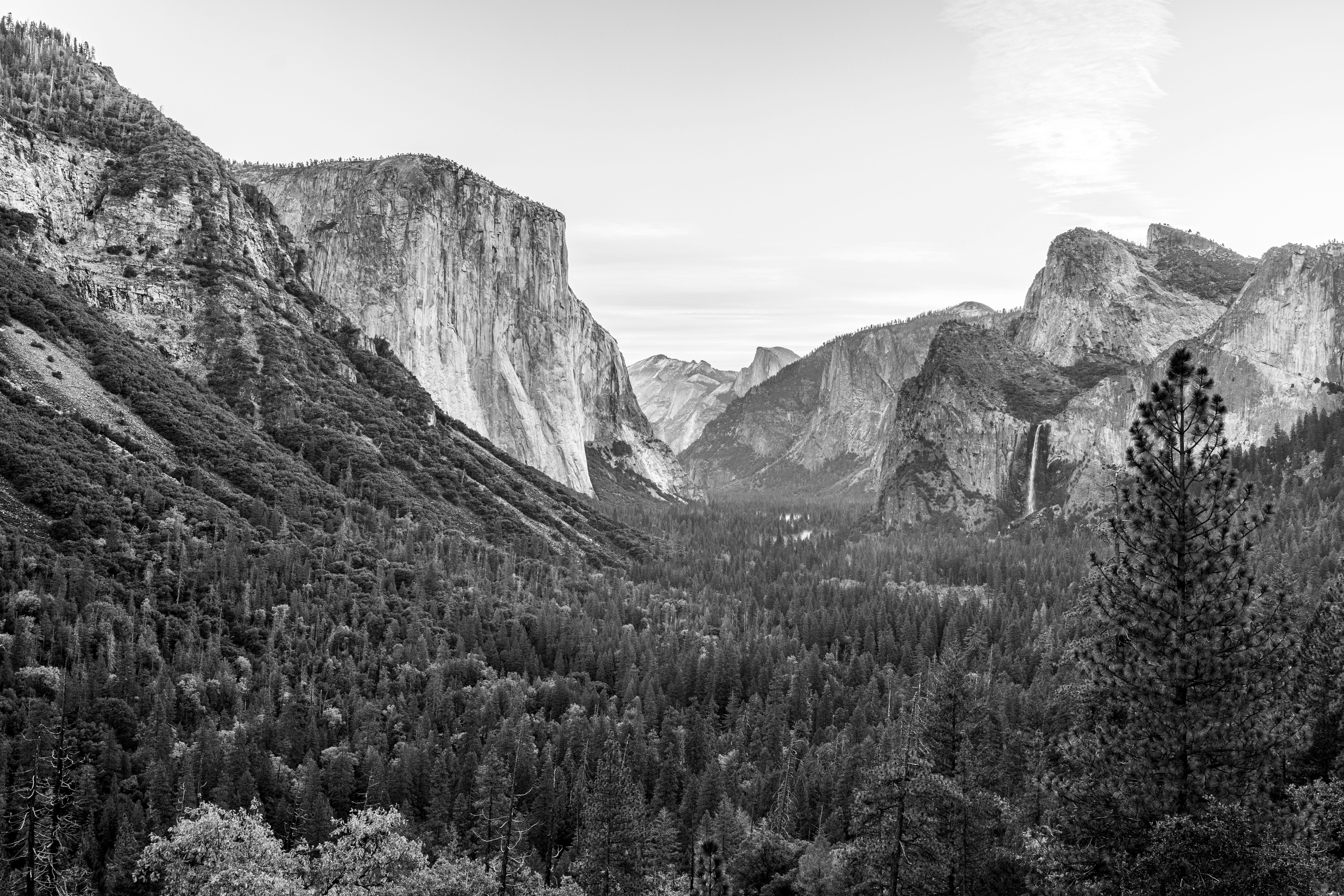 Photo by leo_visions_