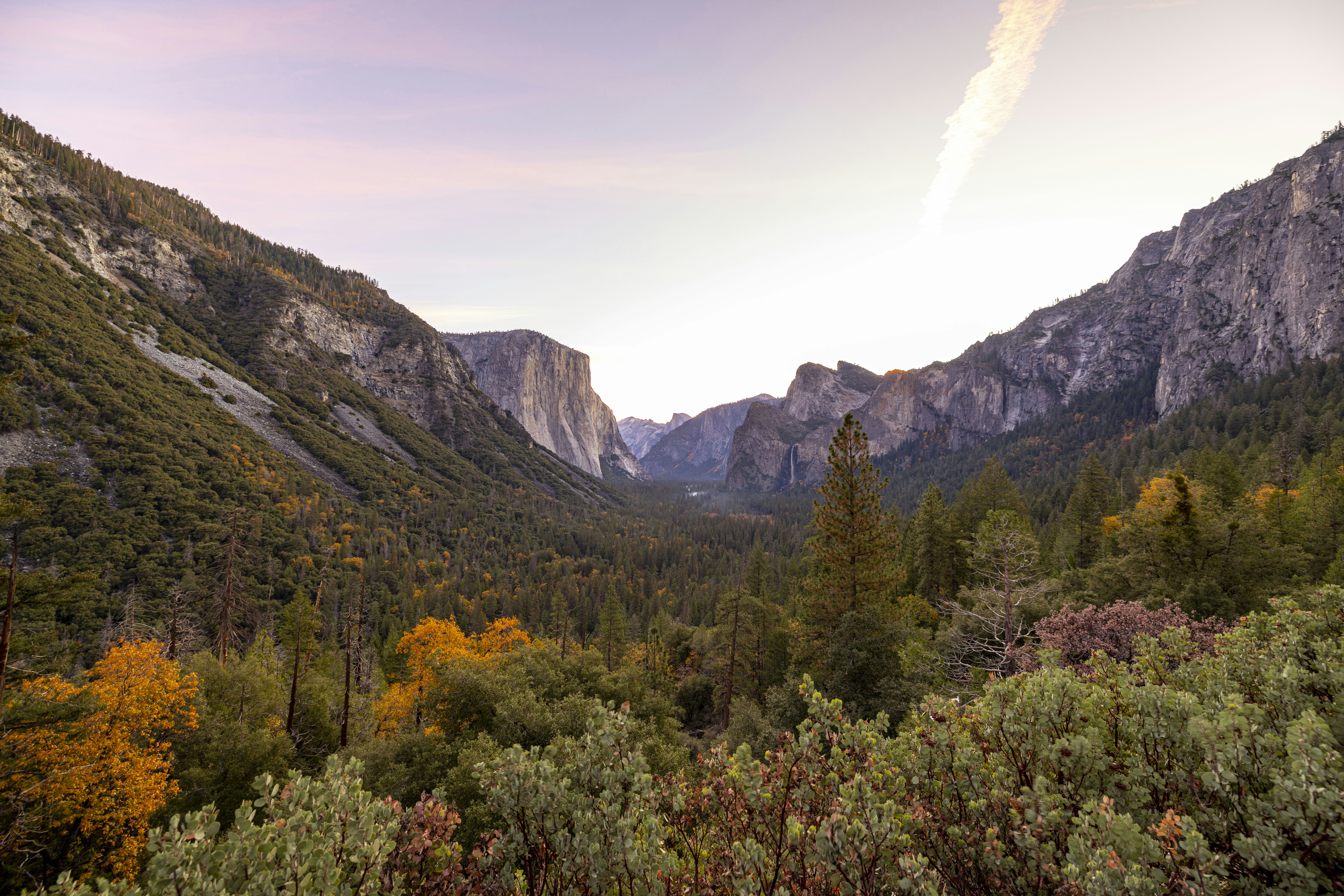 Photo by leo_visions_