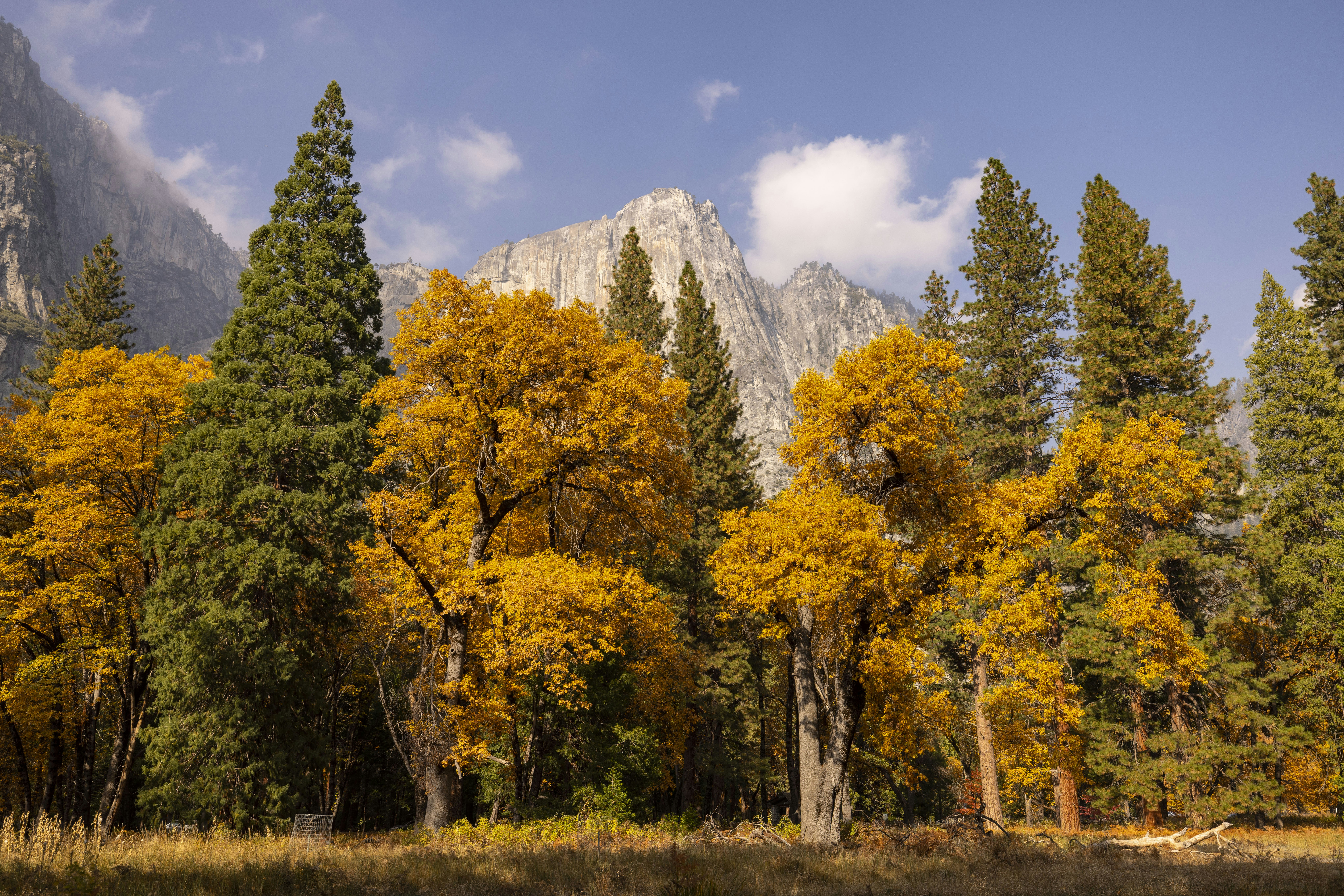 Photo by leo_visions_