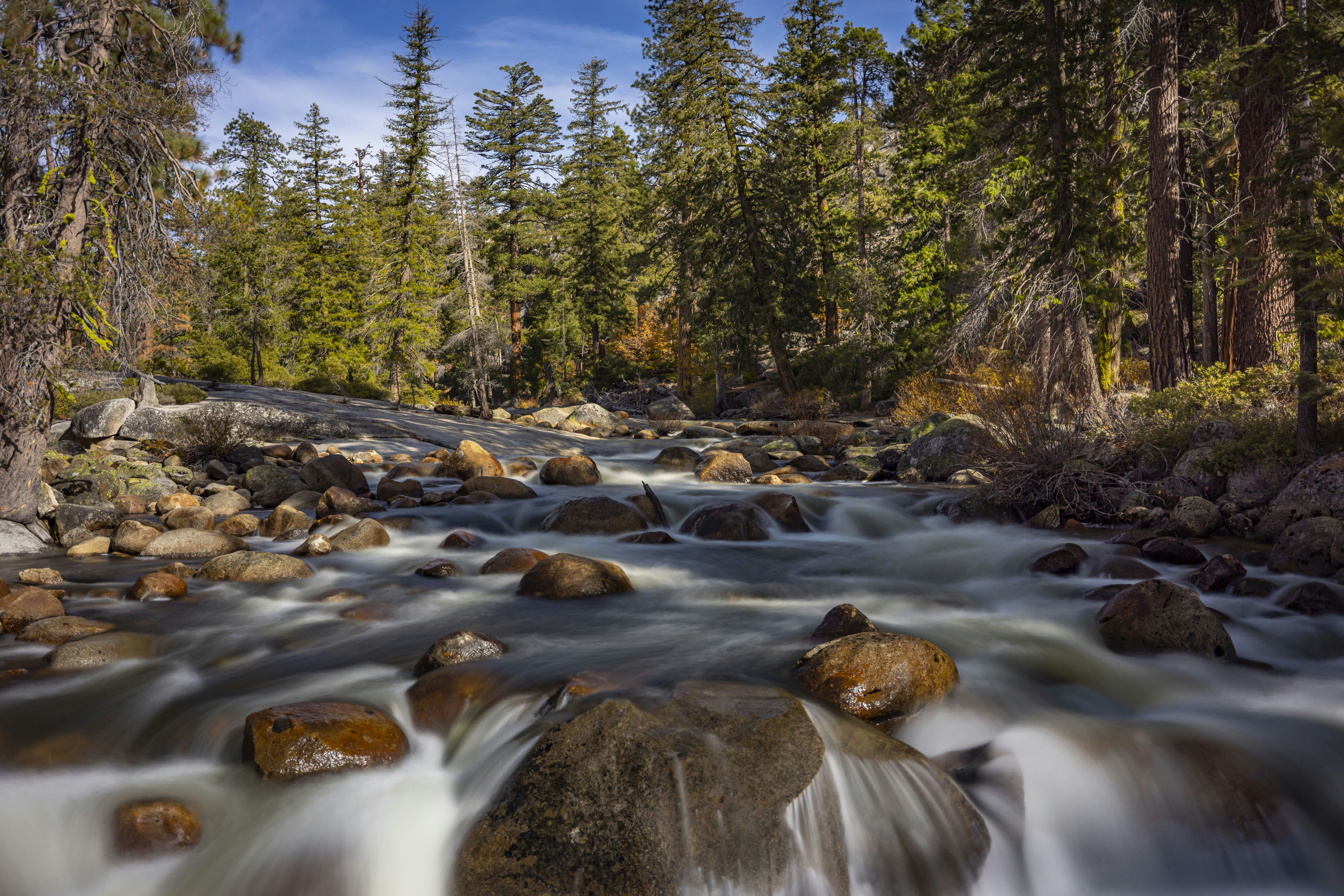 Photo by leo_visions_