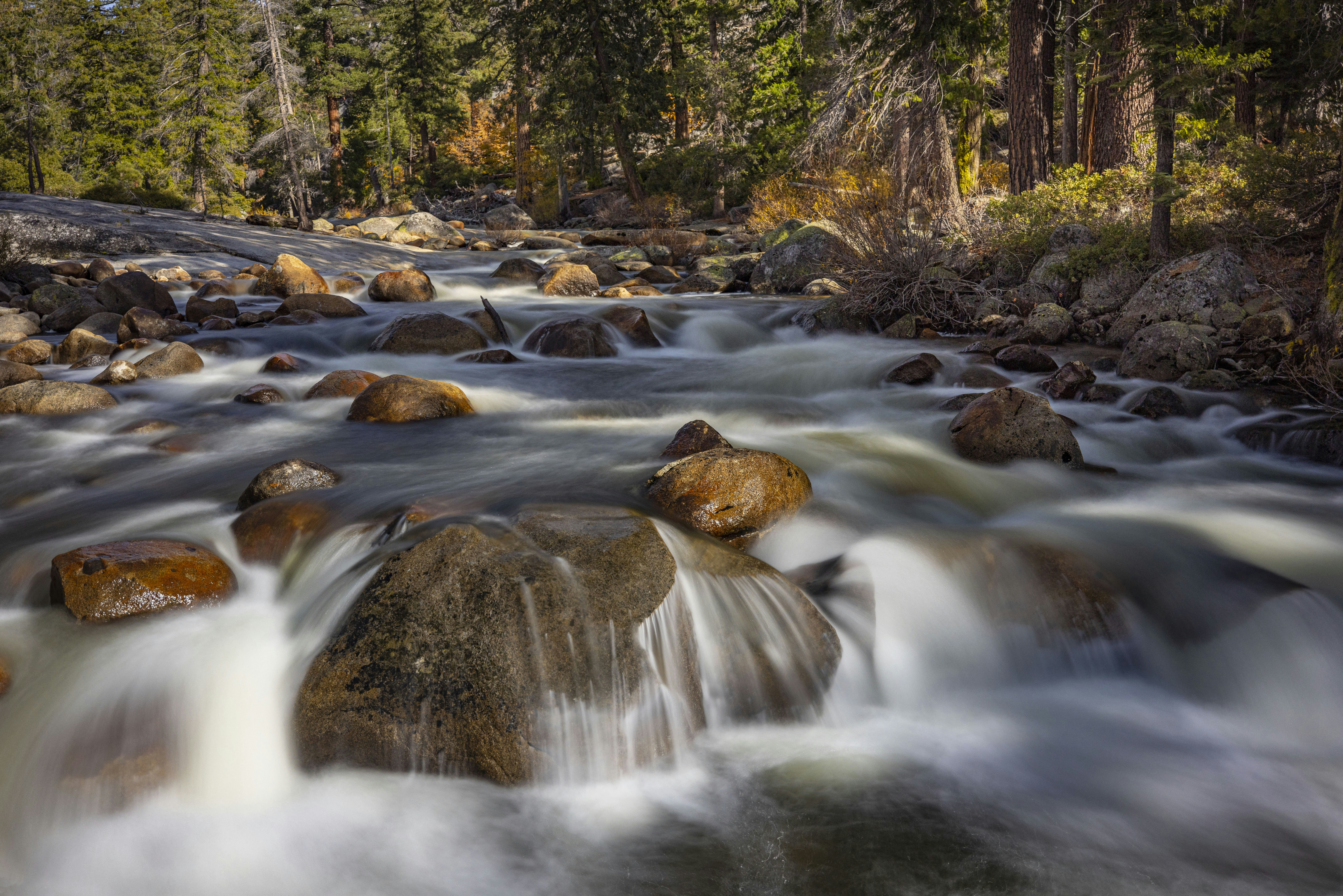 Photo by leo_visions_