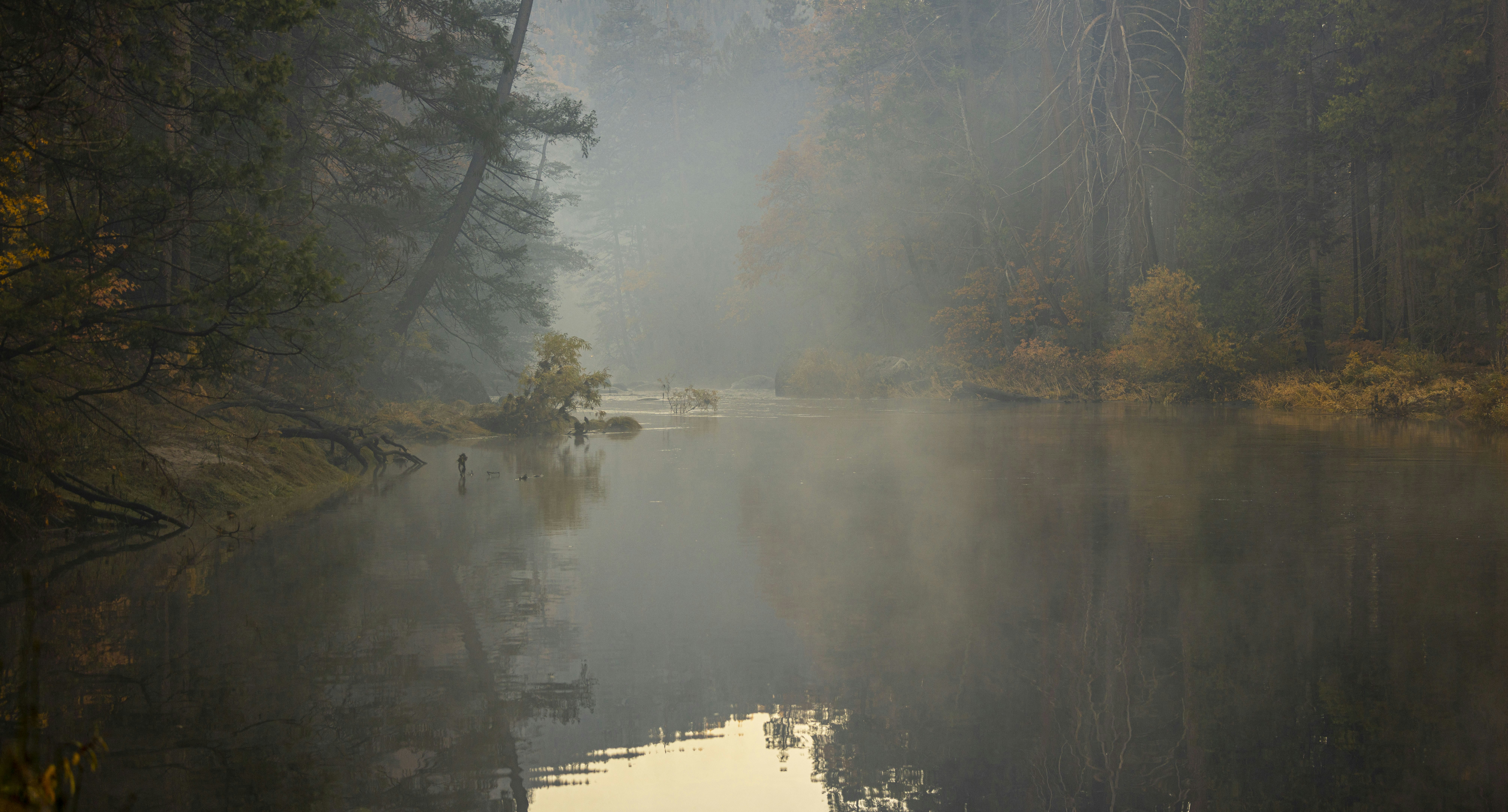 Photo by leo_visions_