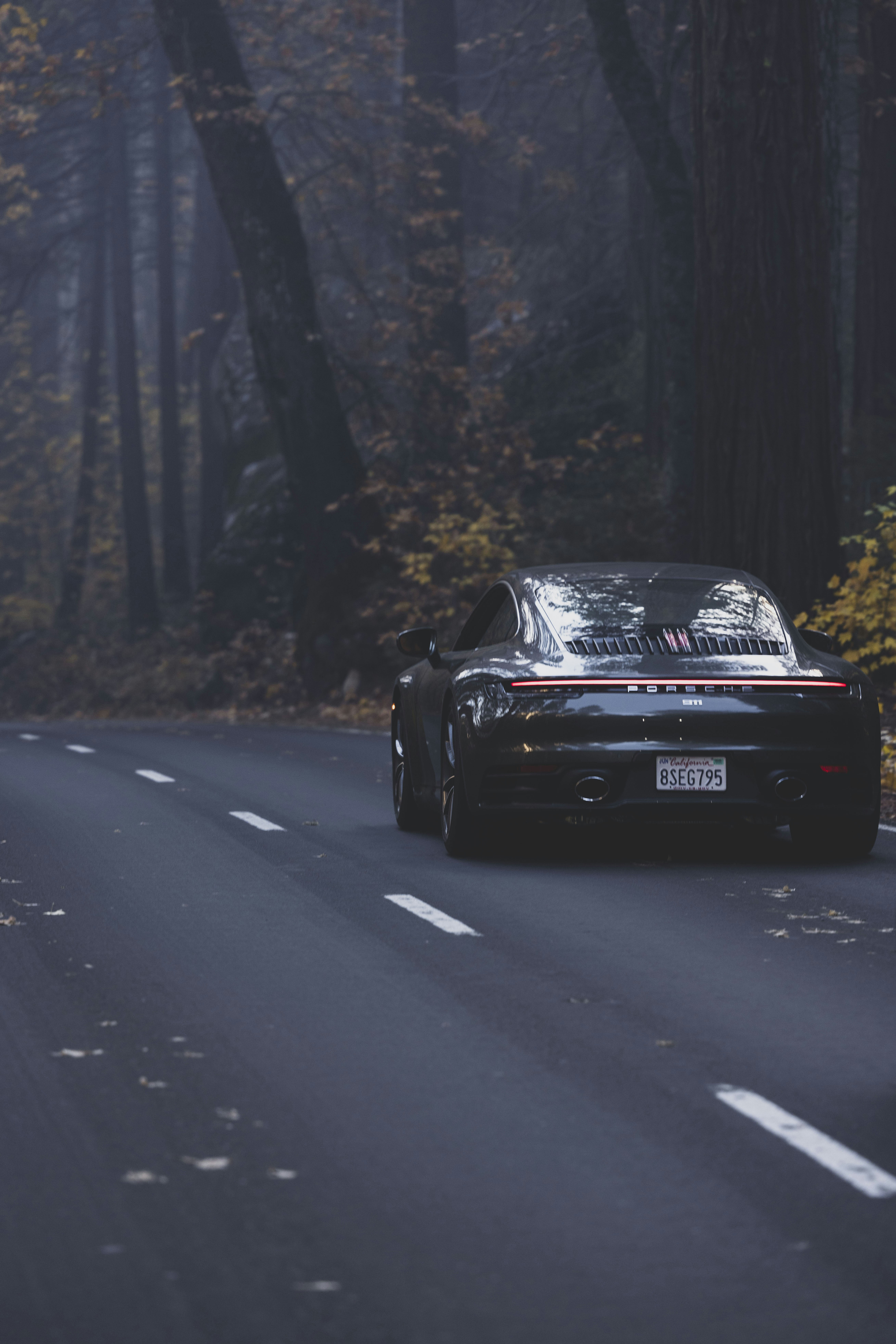 Photo by leo_visions_