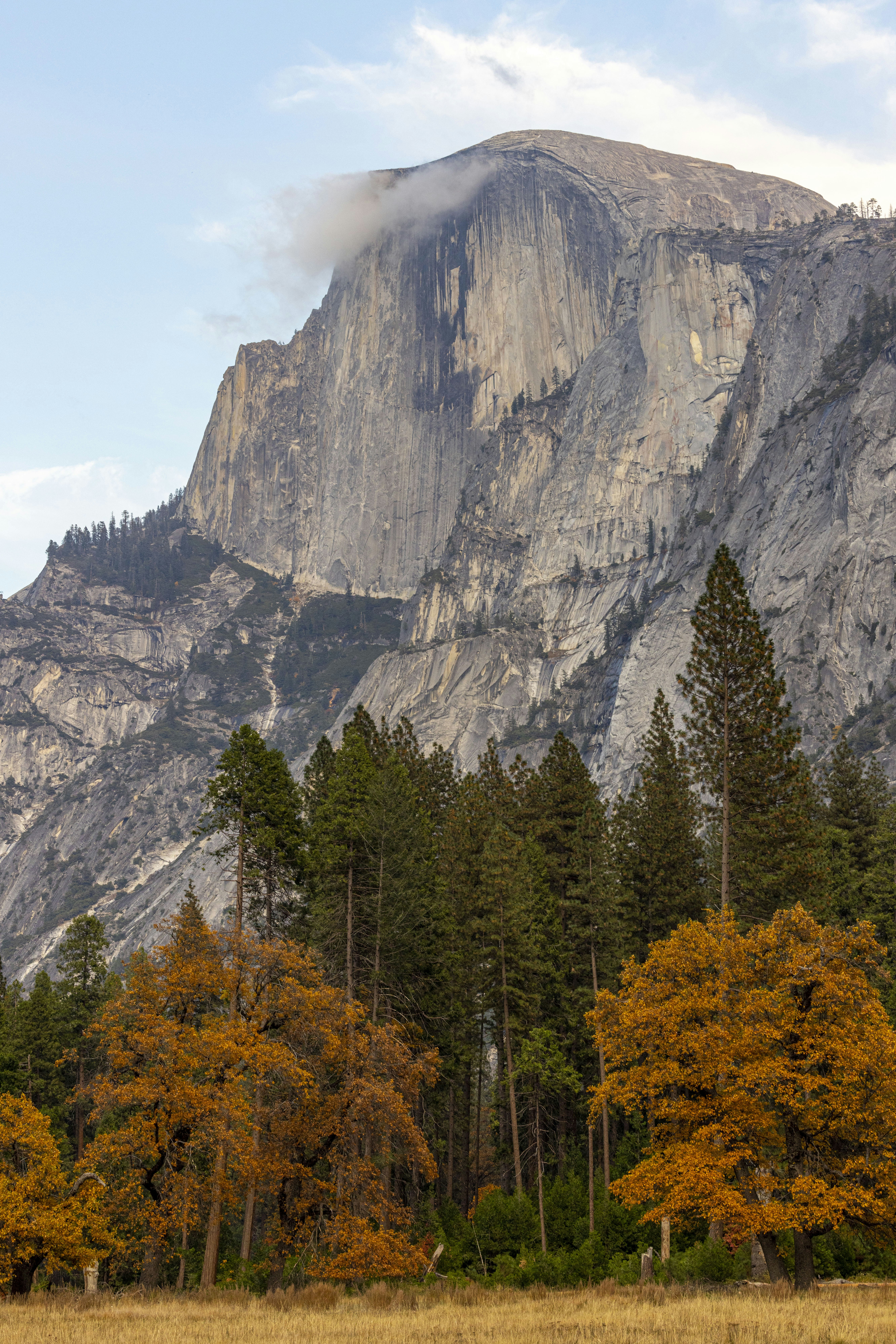 Photo by leo_visions_