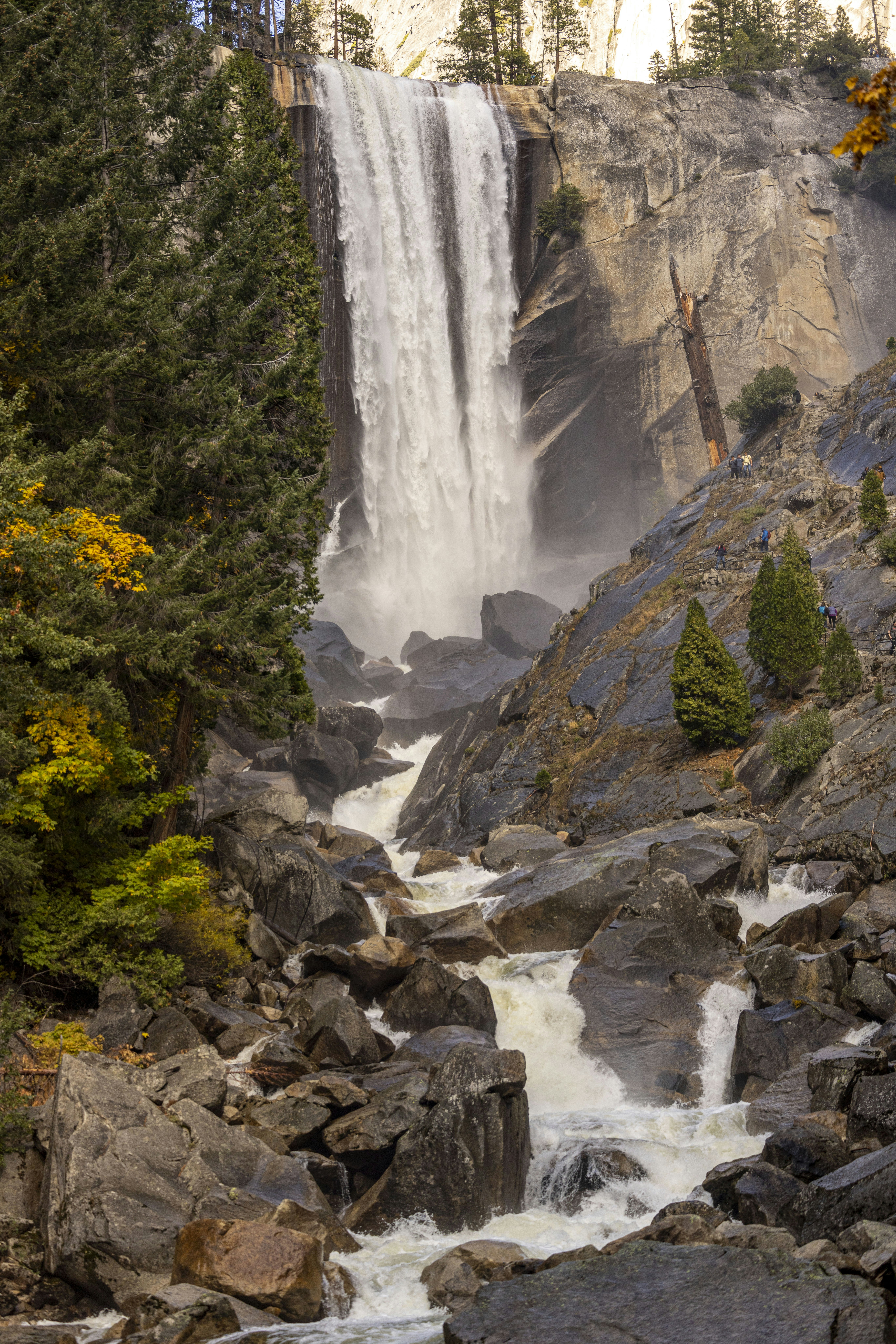 Photo by leo_visions_