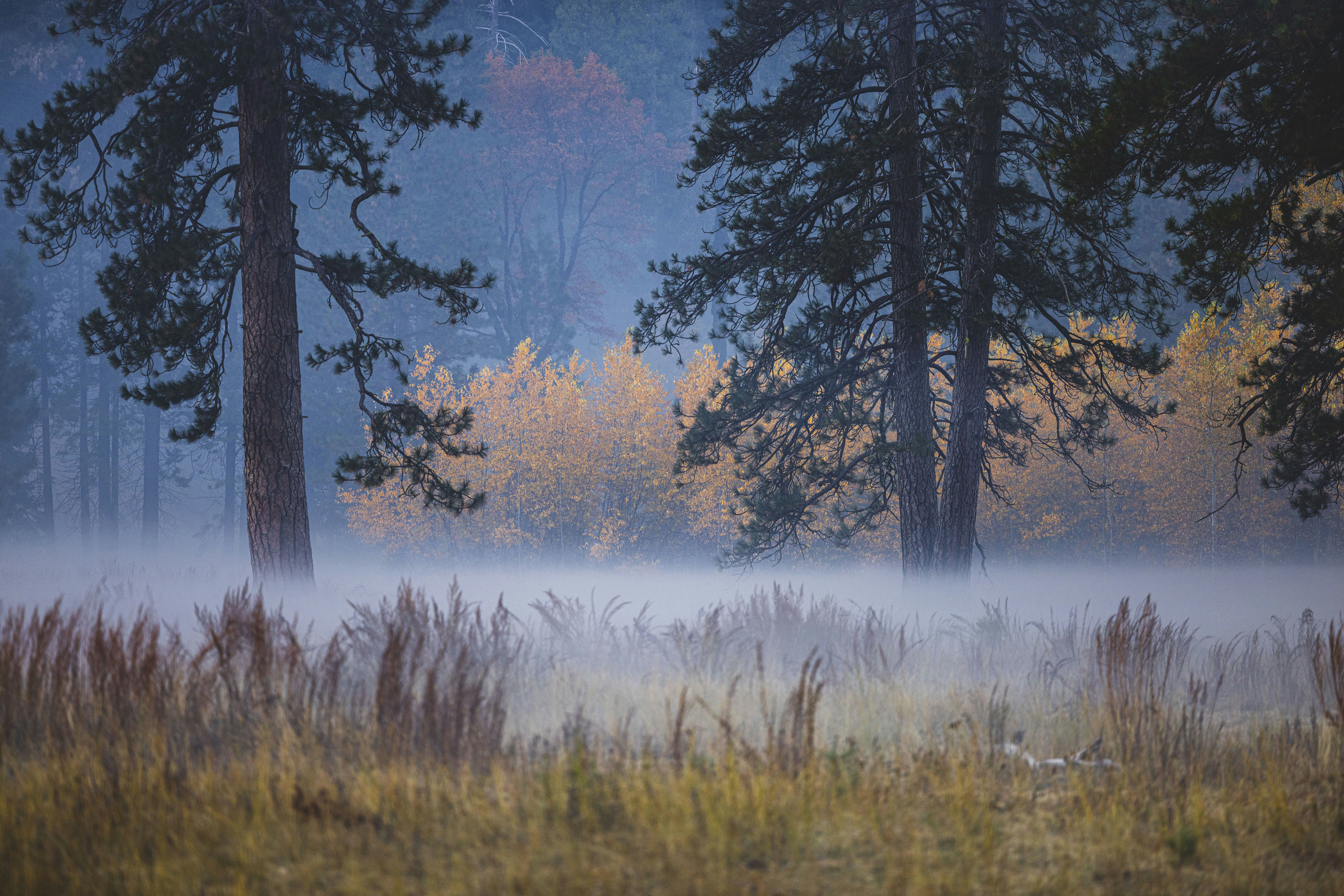 Photo by leo_visions_