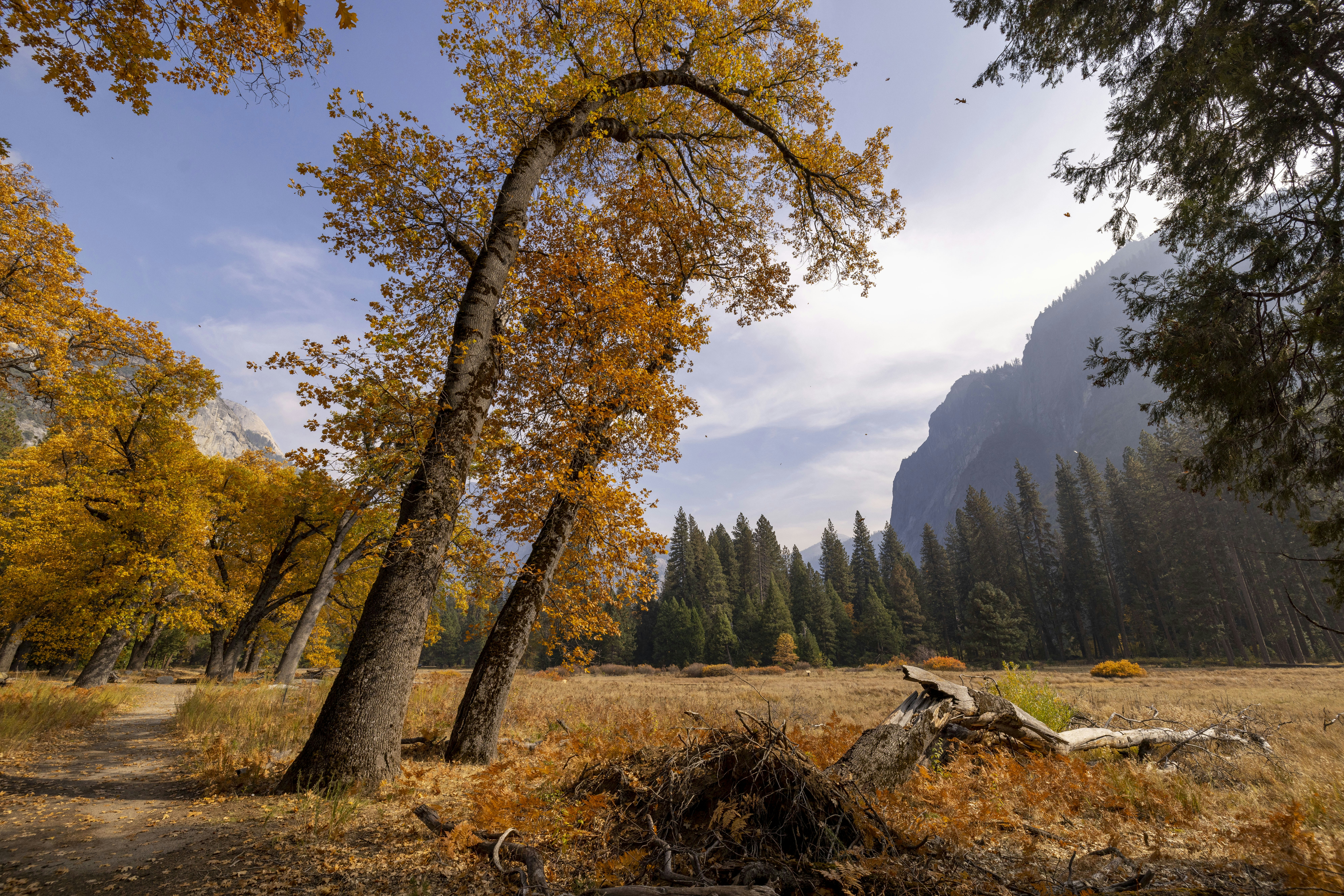 Photo by leo_visions_