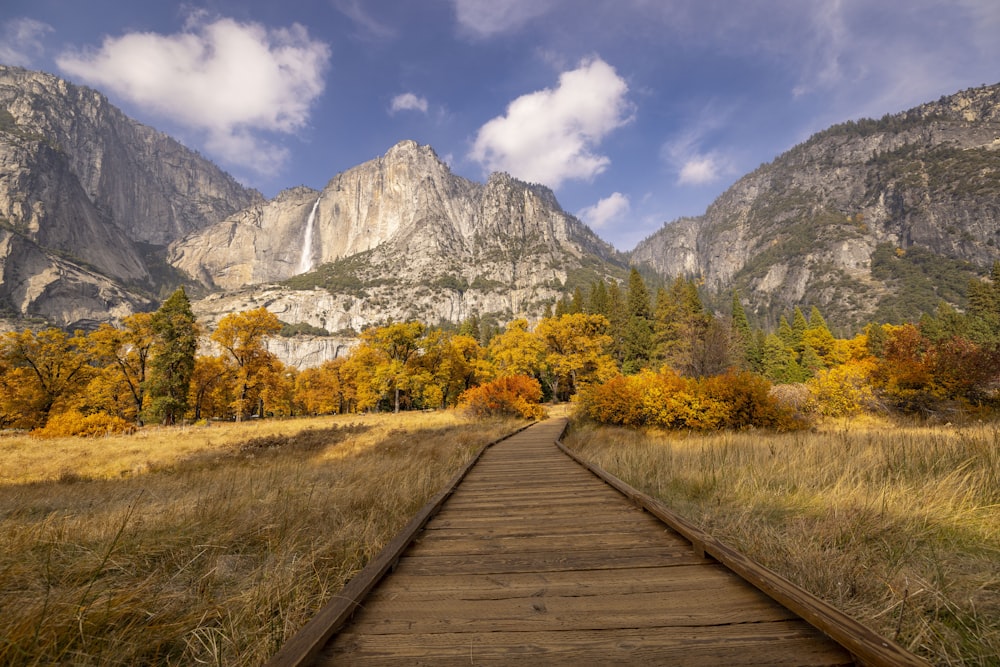 a train track in the middle of a field with mountains in the background