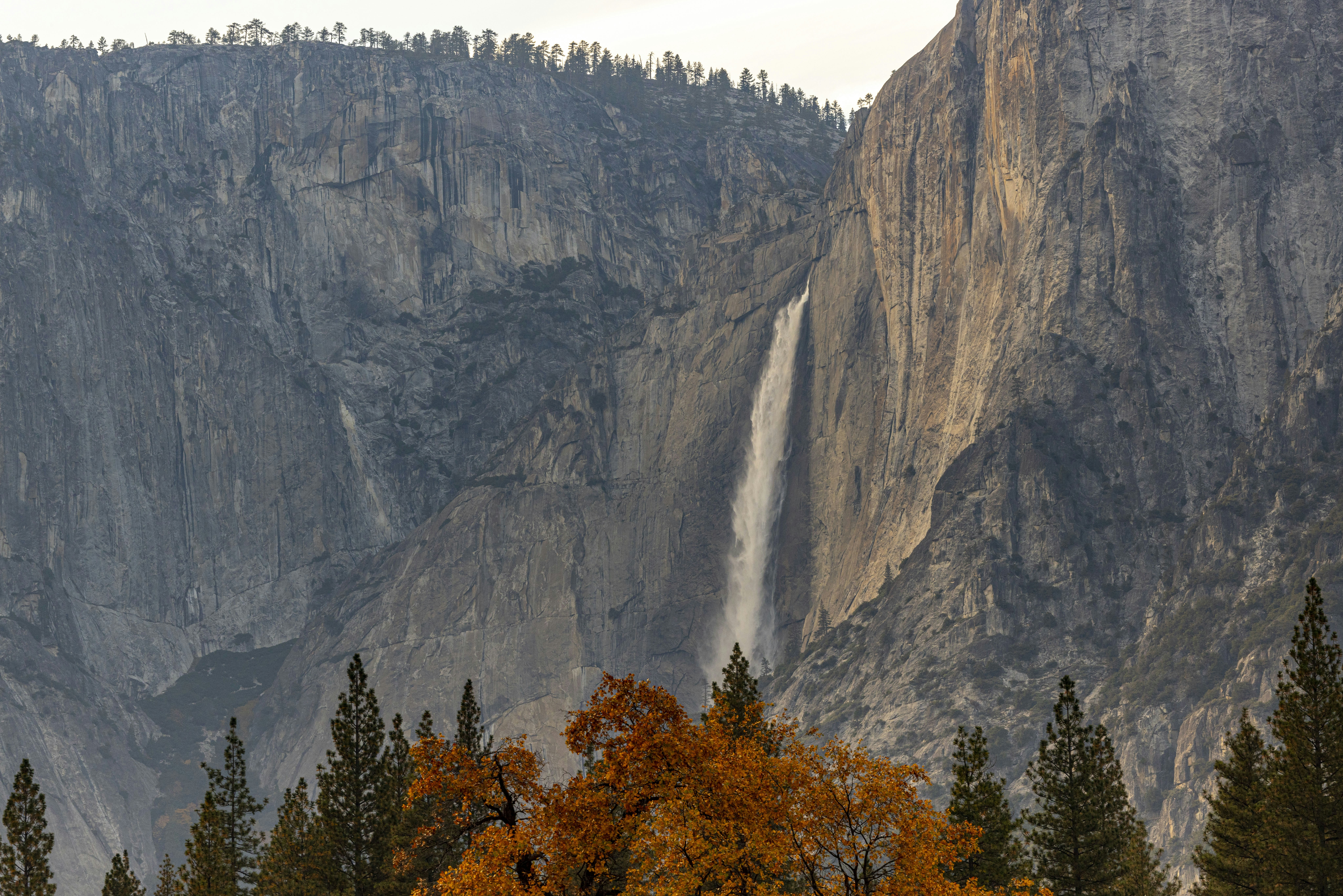 Photo by leo_visions_