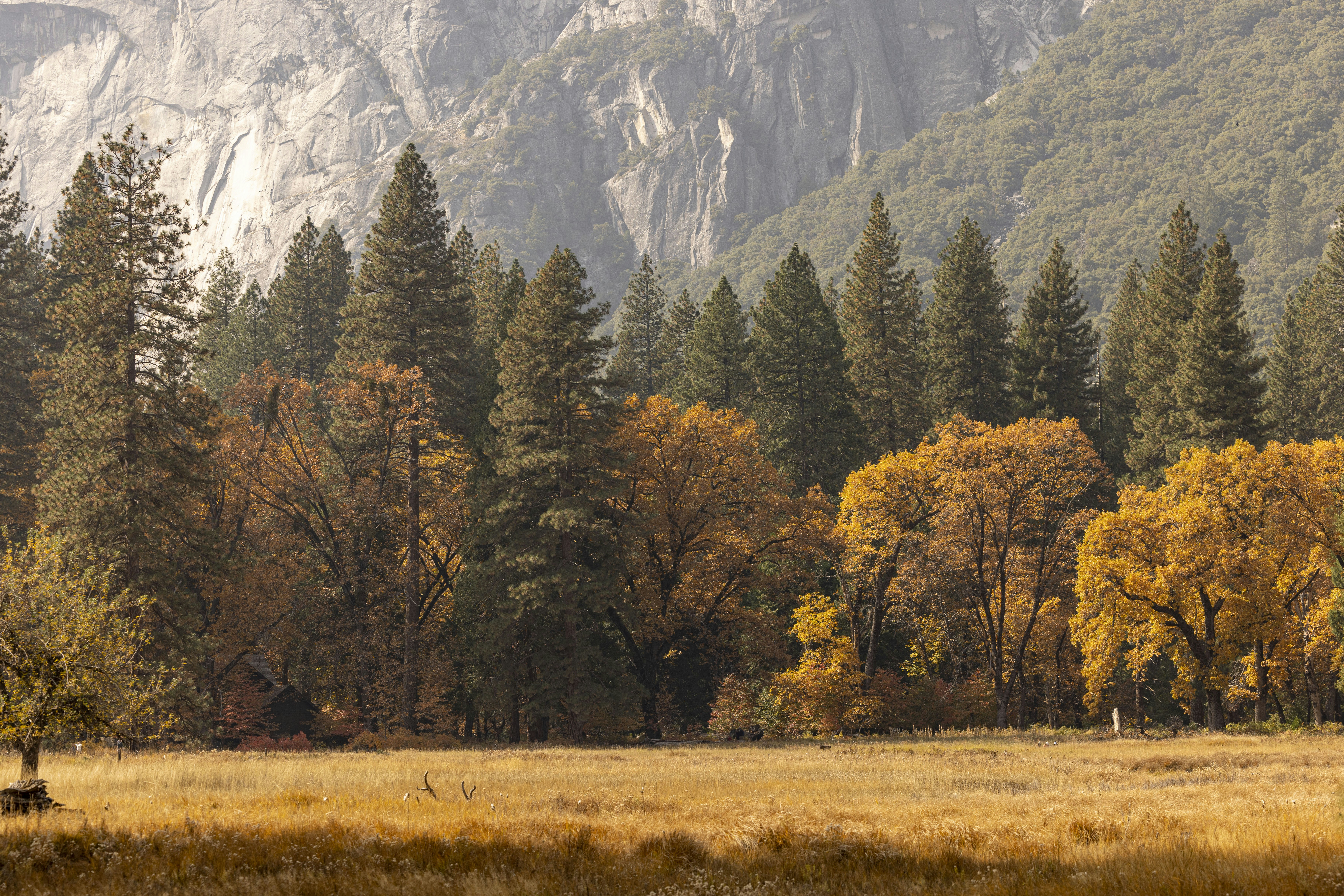 Photo by leo_visions_