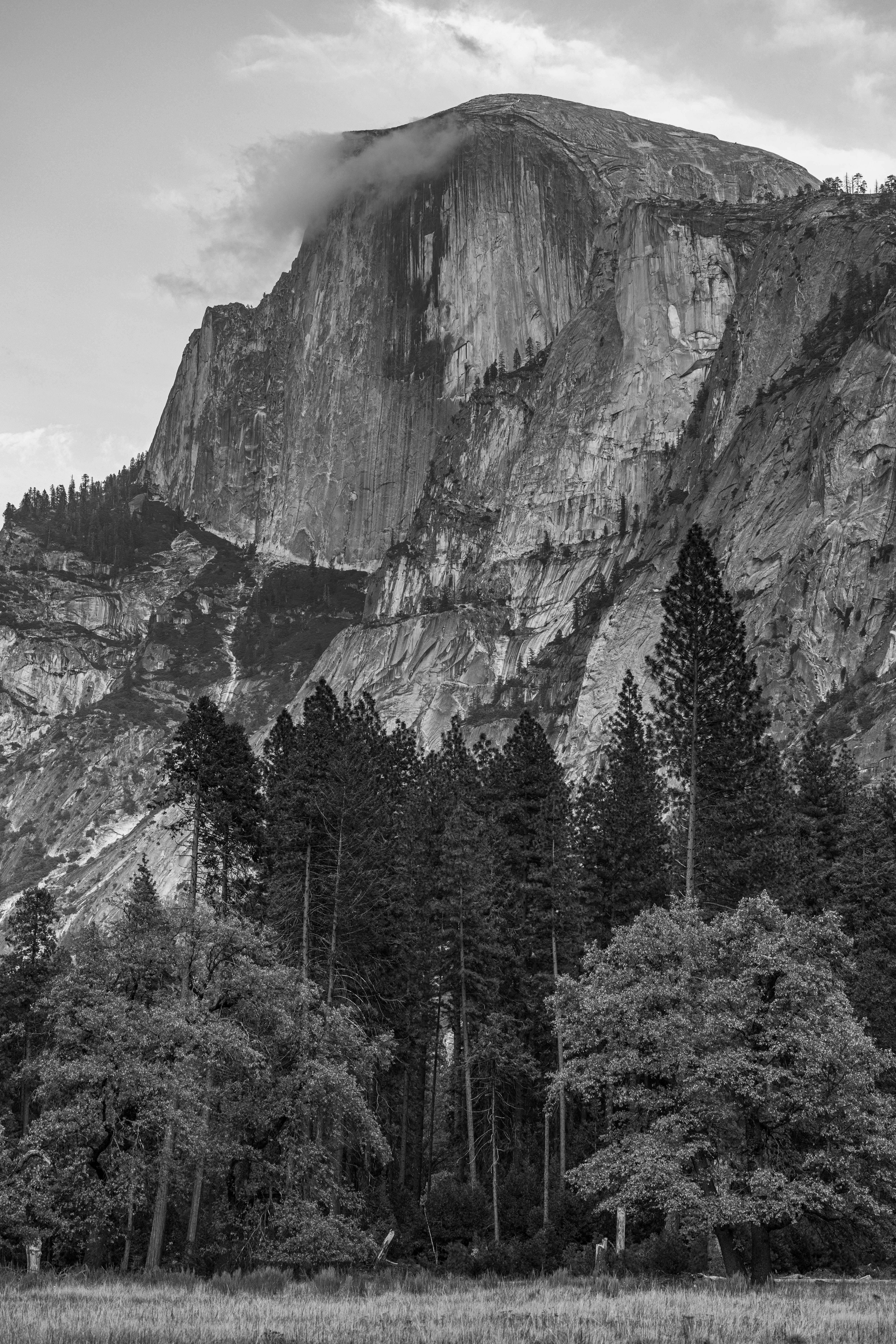 Photo by leo_visions_