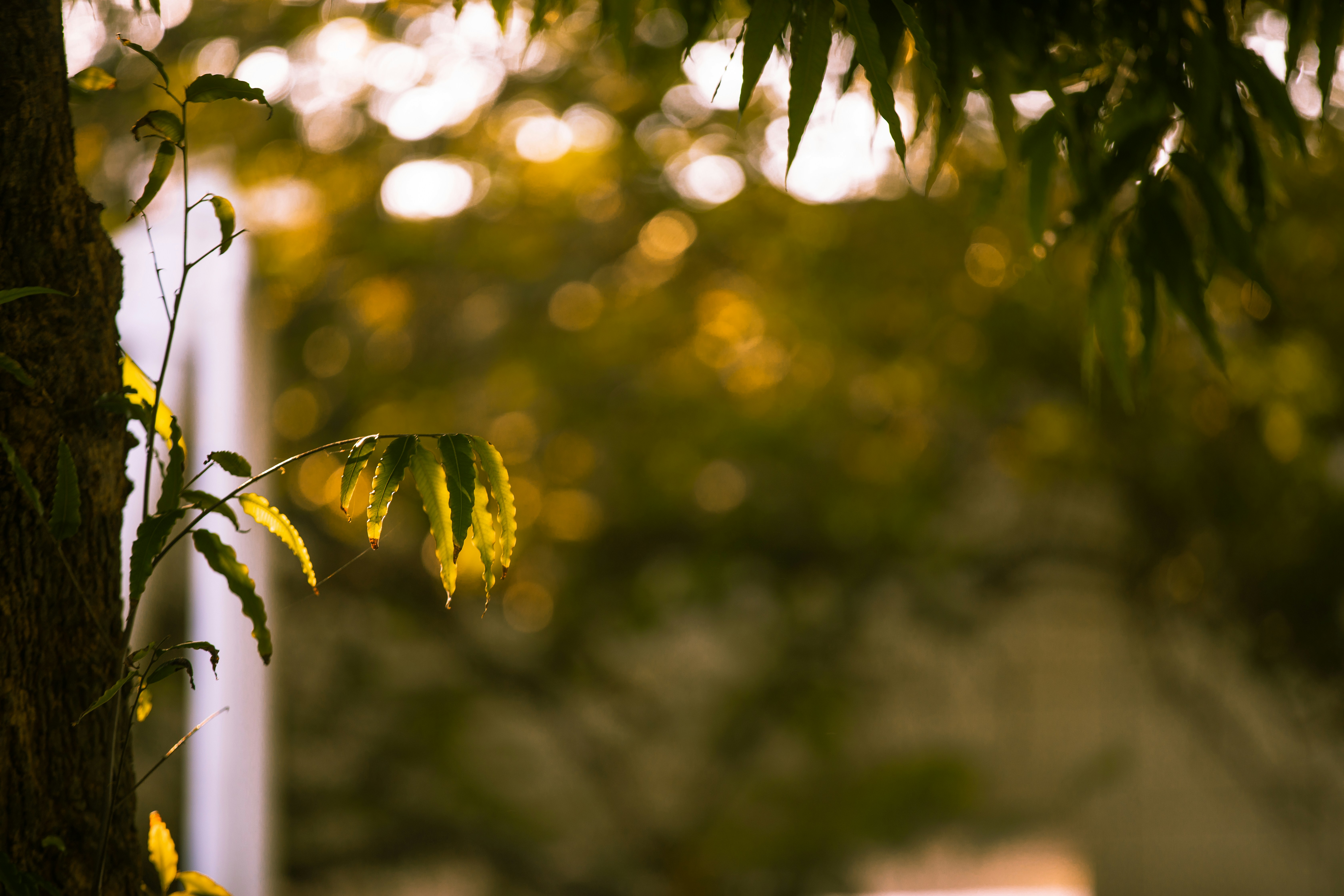 Photo by maahidphotos