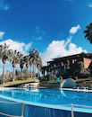 Outdoor pool area surrounded by palm trees and sun loungers under a clear blue sky.