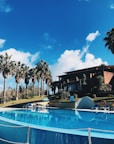 Swimming pool surrounded by palm trees under a clear sky during the afternoon.
