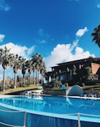 A spacious outdoor swimming pool is surrounded by palm trees under a clear blue sky. A large building with glass windows is in the background, and lounge chairs with umbrellas are situated around the pool's edge.
