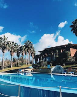 A spacious outdoor swimming pool is surrounded by palm trees under a clear blue sky. A large building with glass windows is in the background, and lounge chairs with umbrellas are situated around the pool's edge.