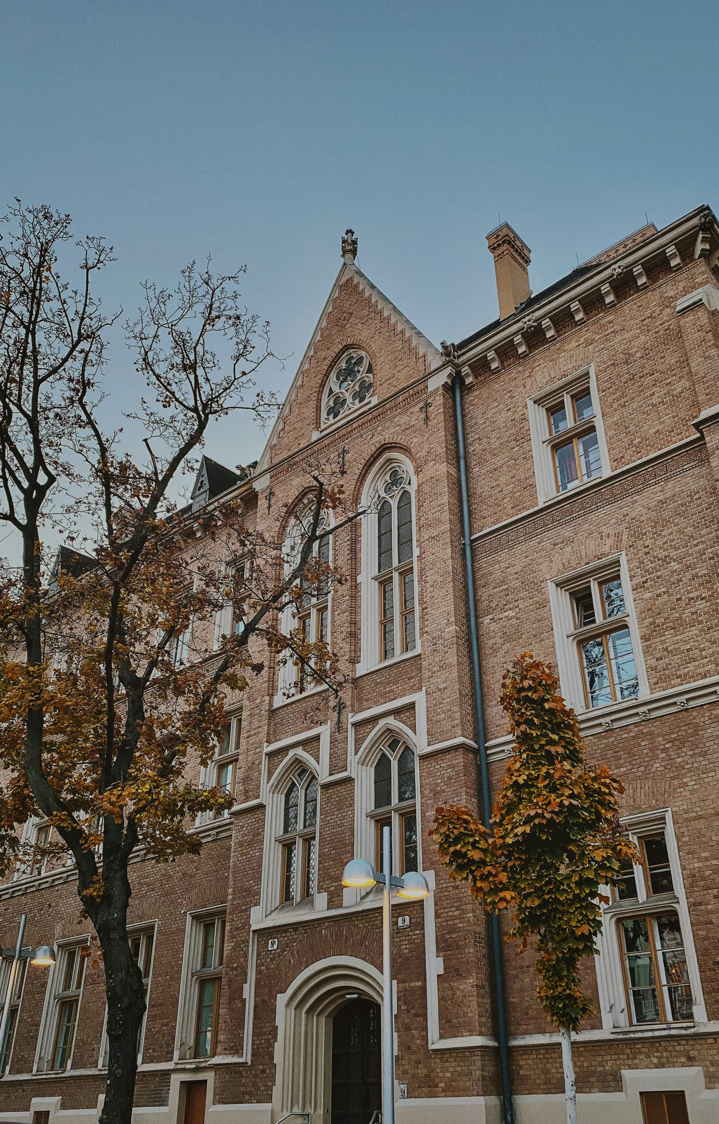 Photo by vincentvangogh