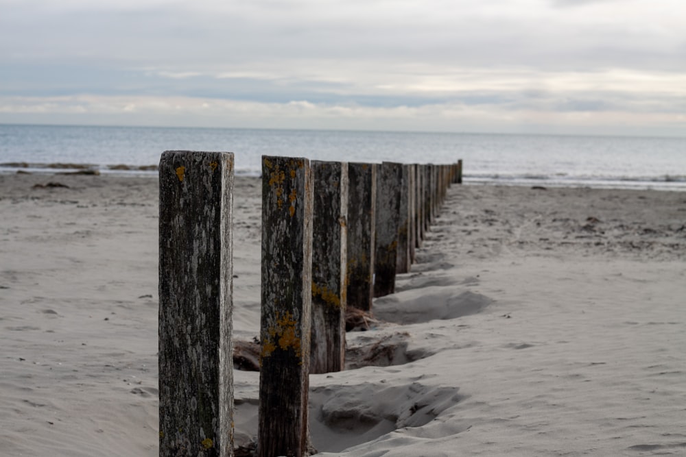 a row of wooden posts sitting on top of a sandy beach