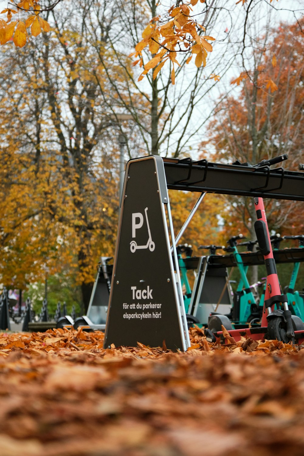 a parking sign sitting on top of a pile of leaves