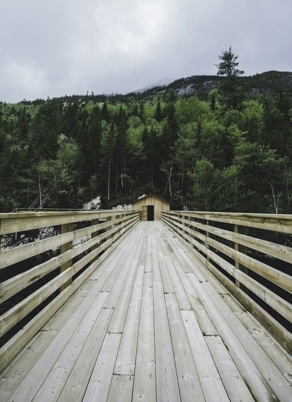Un puente de madera con una montaña al fondo