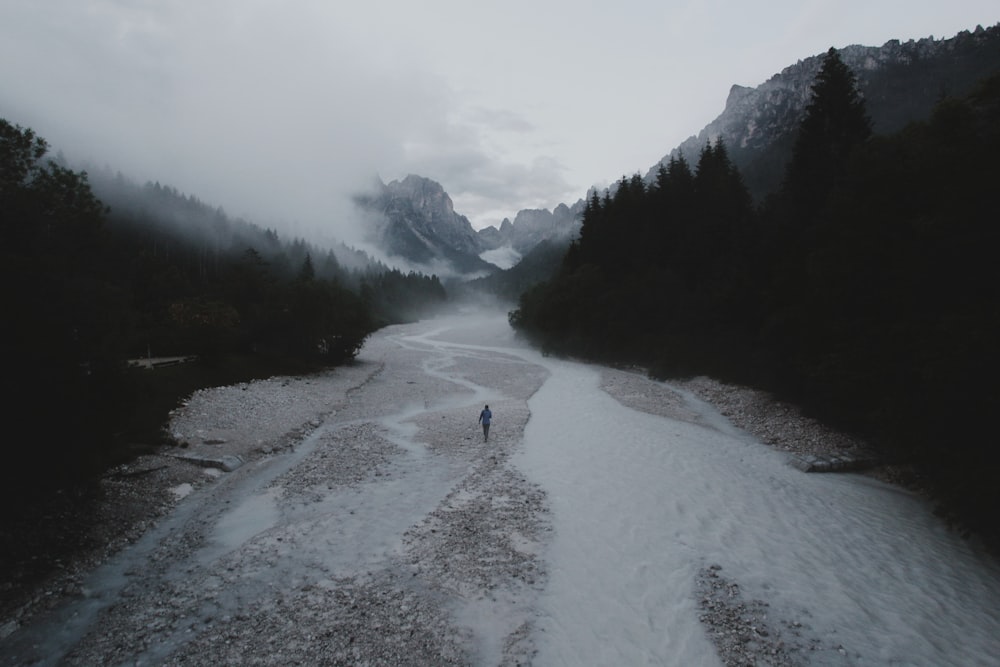 a person walking down a river in the middle of a forest
