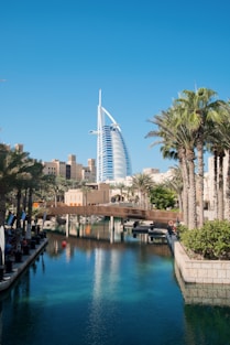 a large body of water surrounded by palm trees