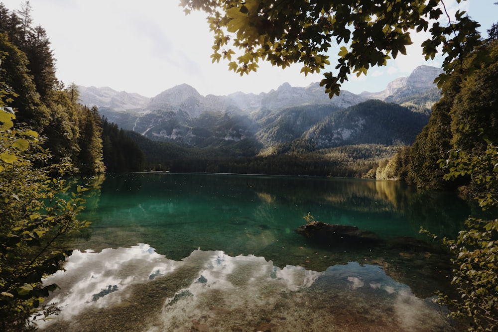 a body of water surrounded by trees and mountains