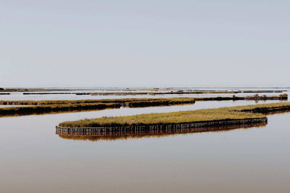 a large body of water surrounded by grass