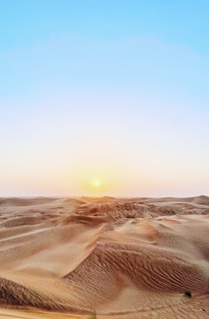 Golden sand dunes glowing under the warm Alula sunset.