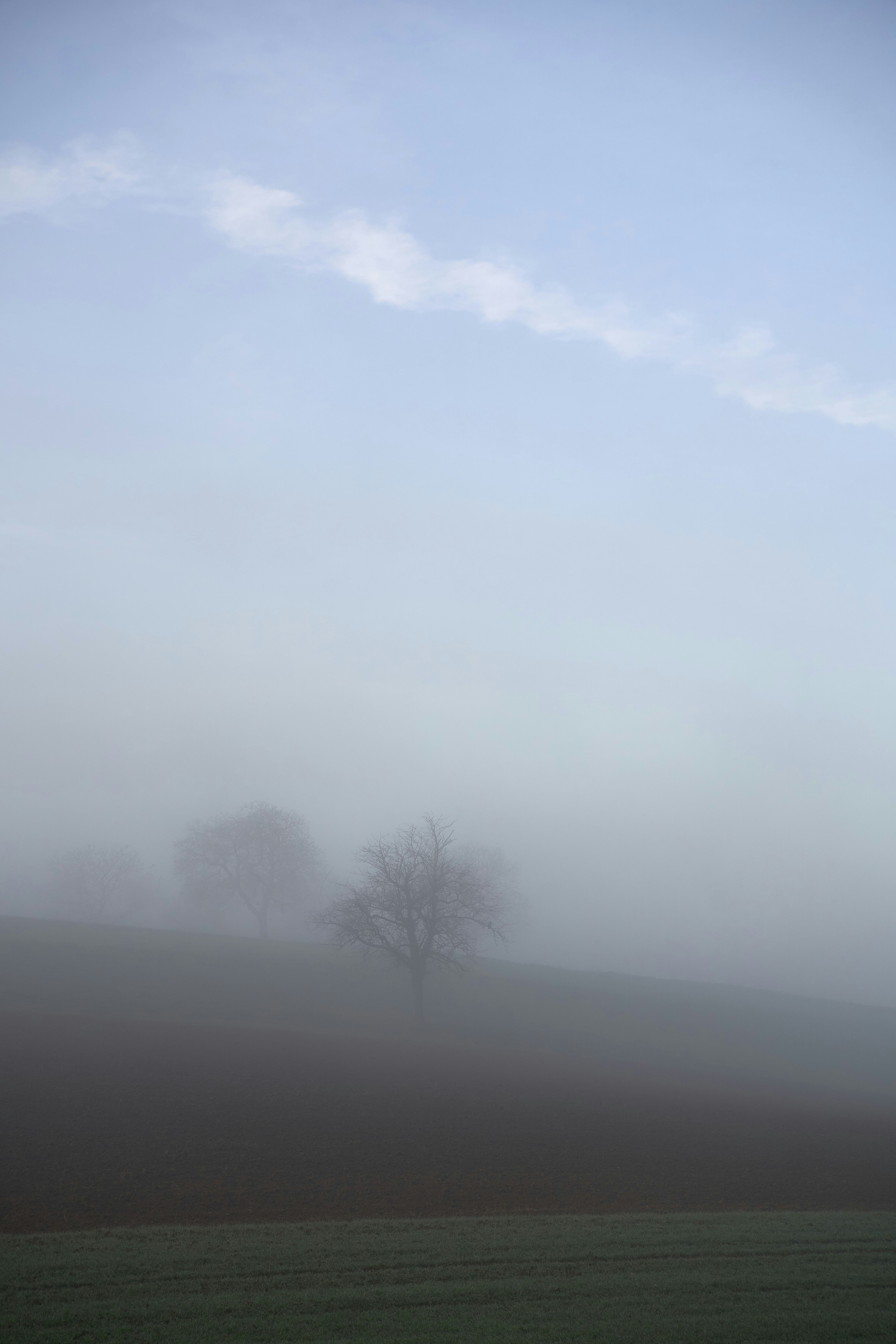 Photo by wolfgang_hasselmann