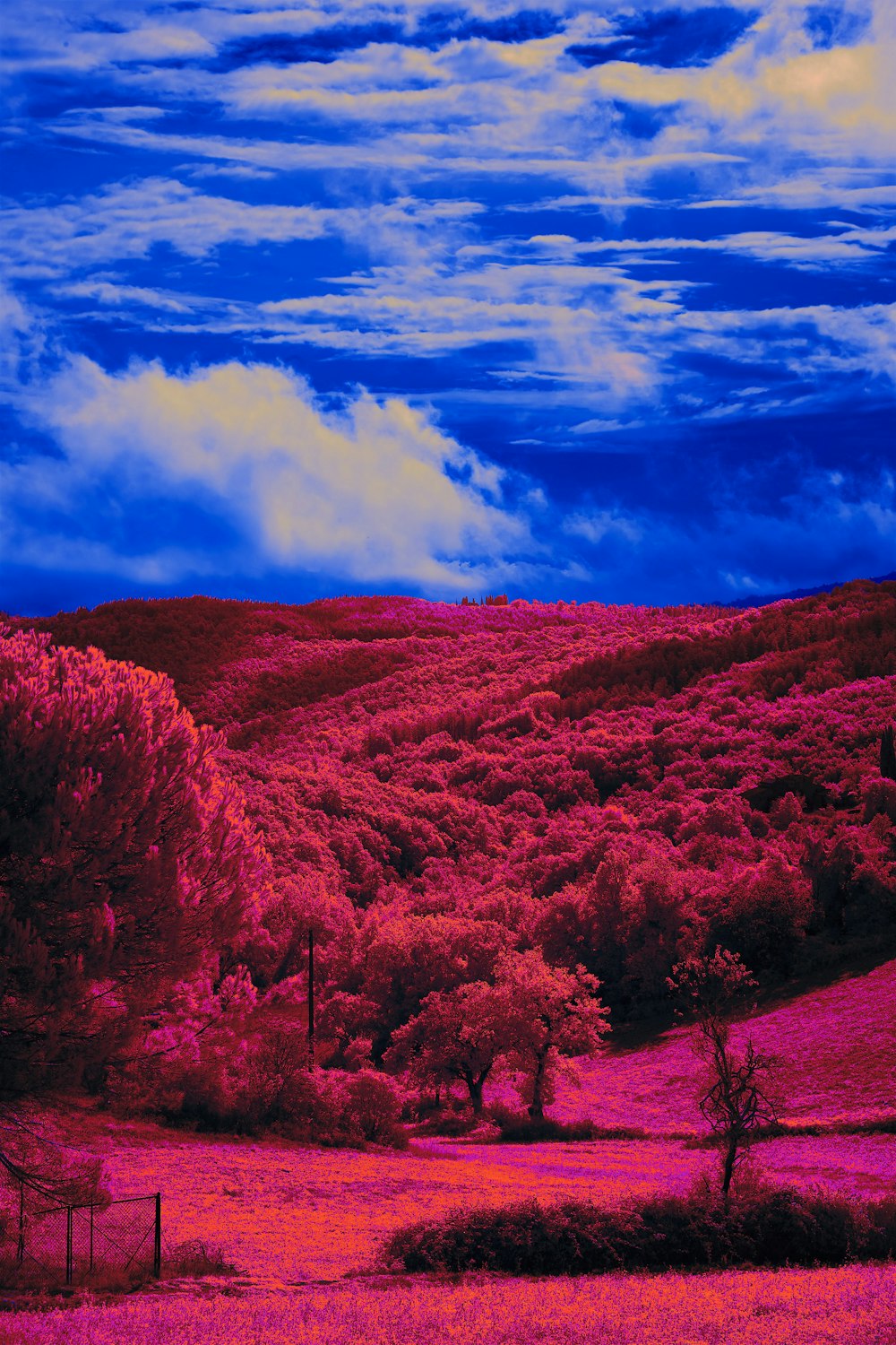 a field with trees and clouds in the background