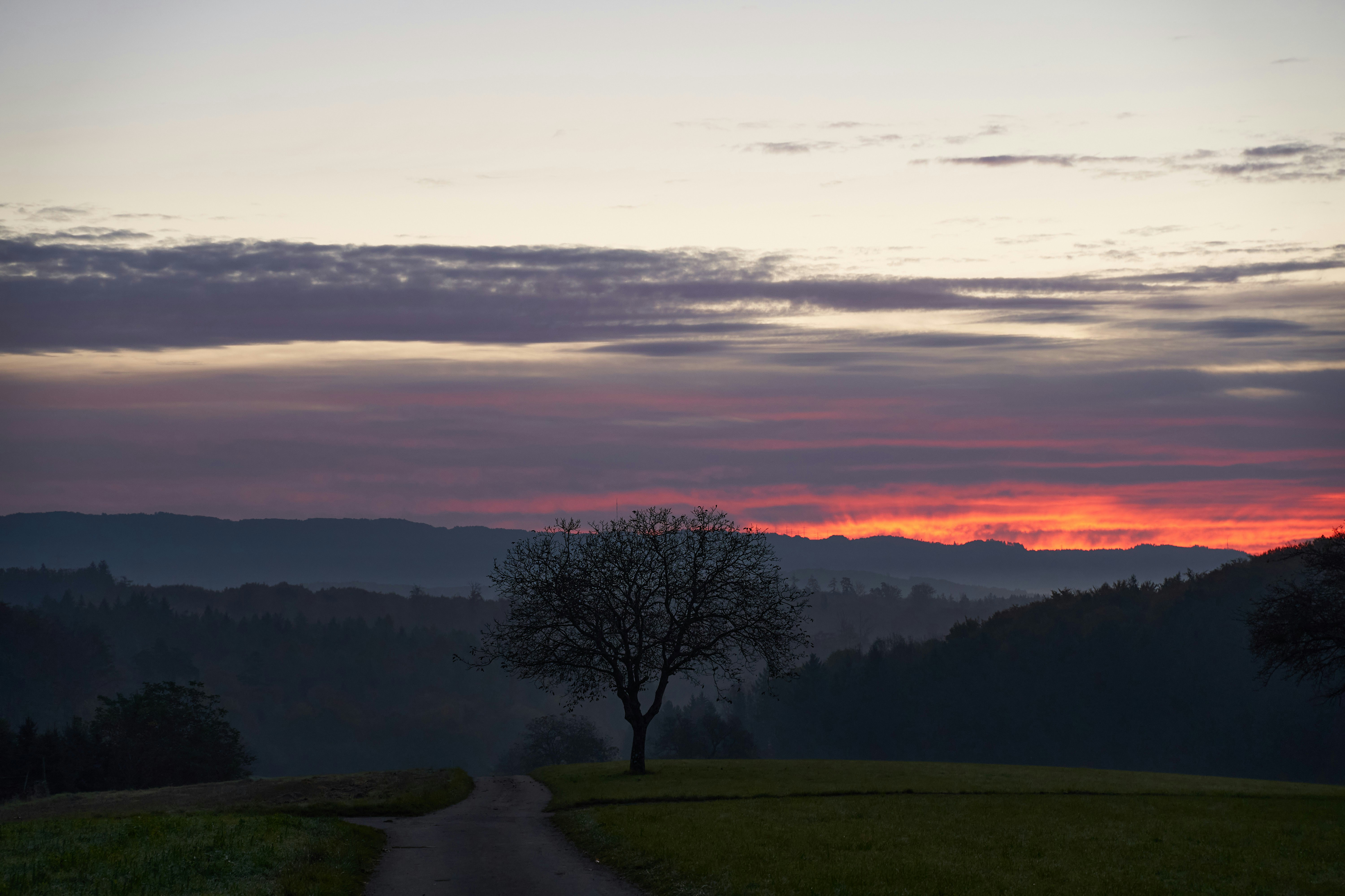 Photo by wolfgang_hasselmann