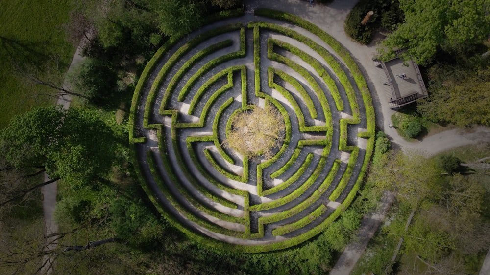 Una vista aérea de un laberinto circular en un parque