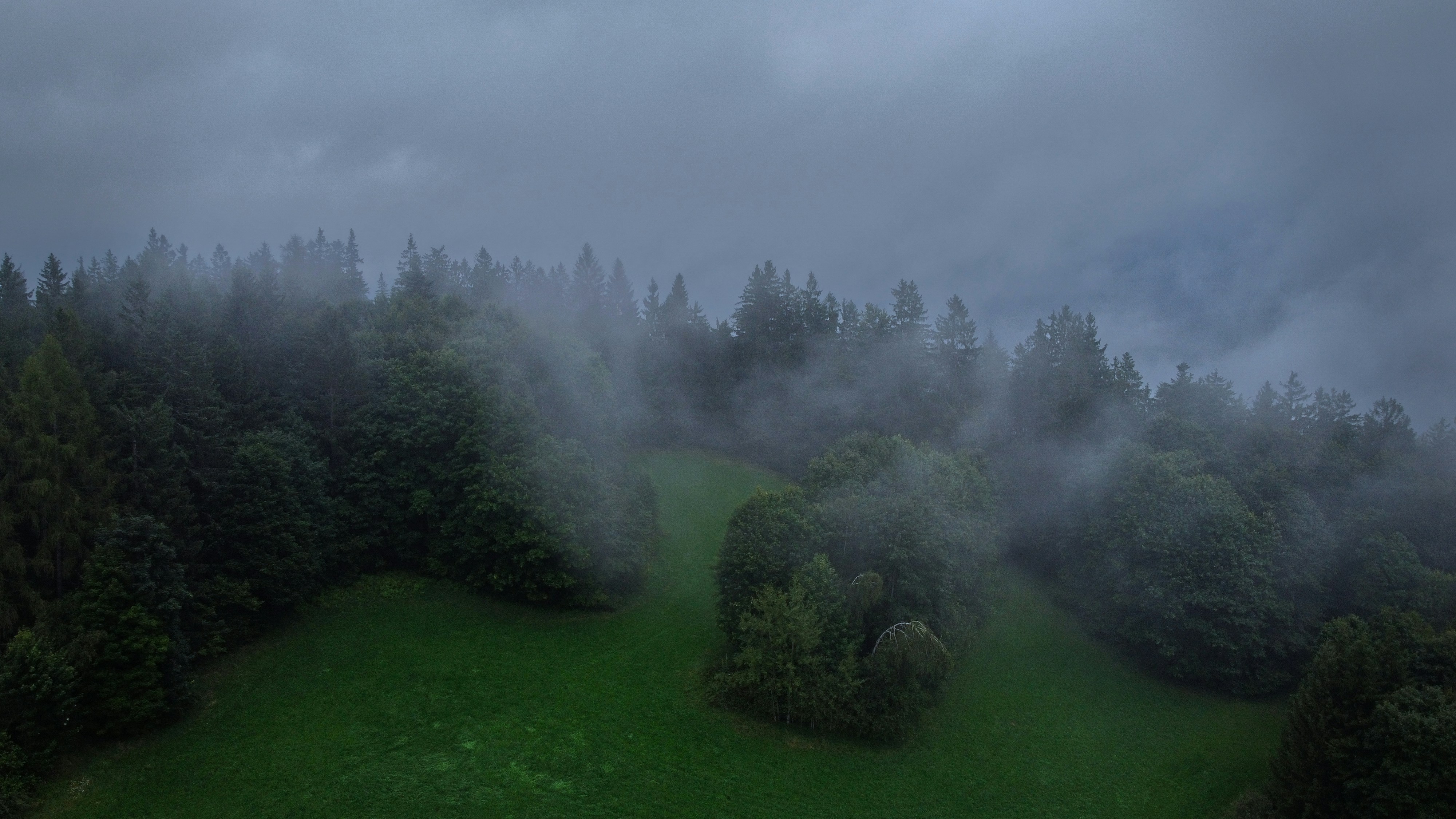 an aerial view of a foggy forest