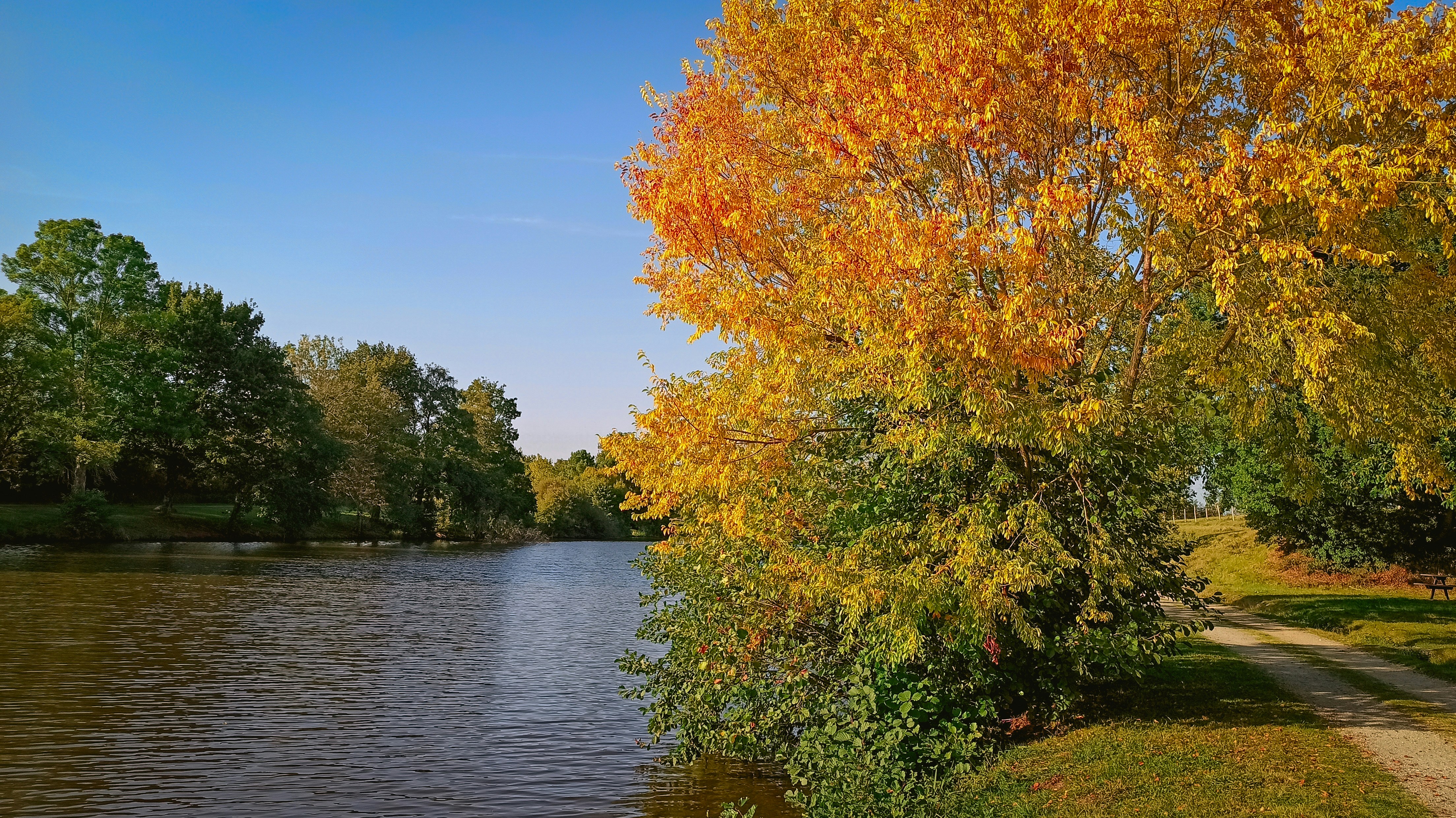 Photo by krisdeschacals