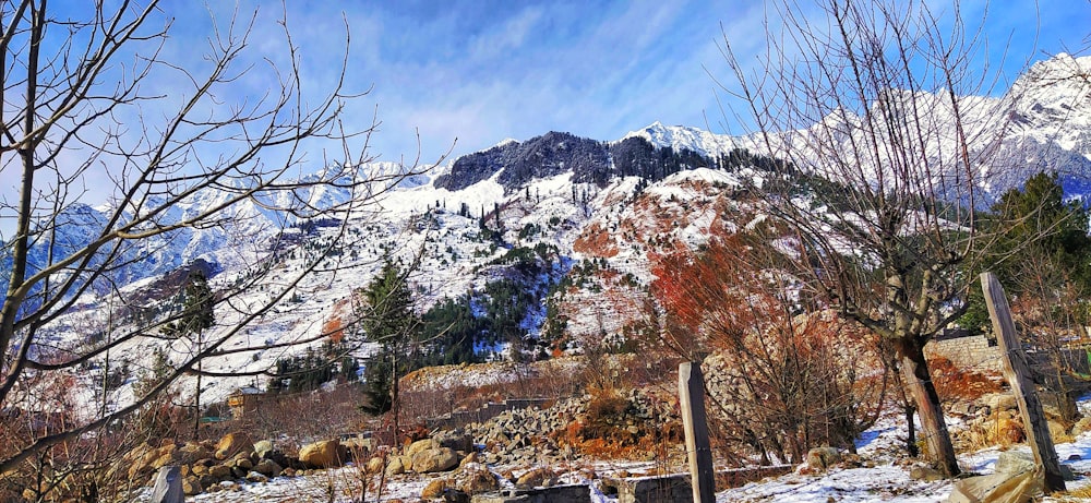 a snow covered mountain with trees and rocks