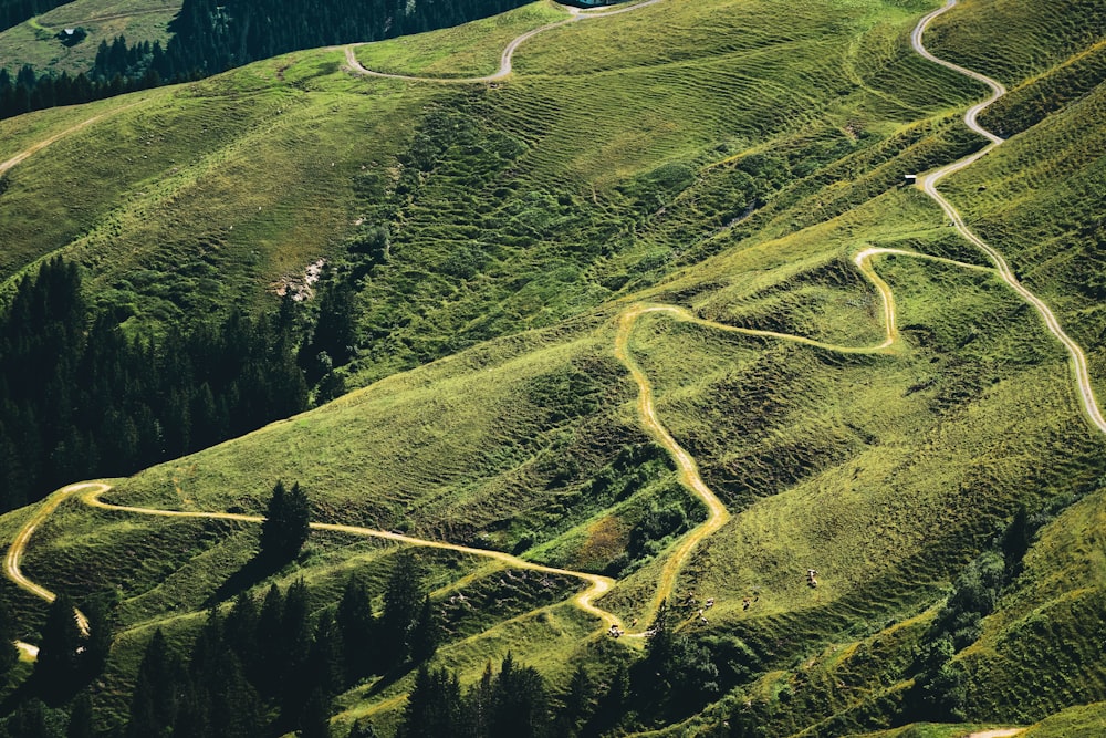 Eine kurvenreiche Straße inmitten eines üppigen grünen Hügels
